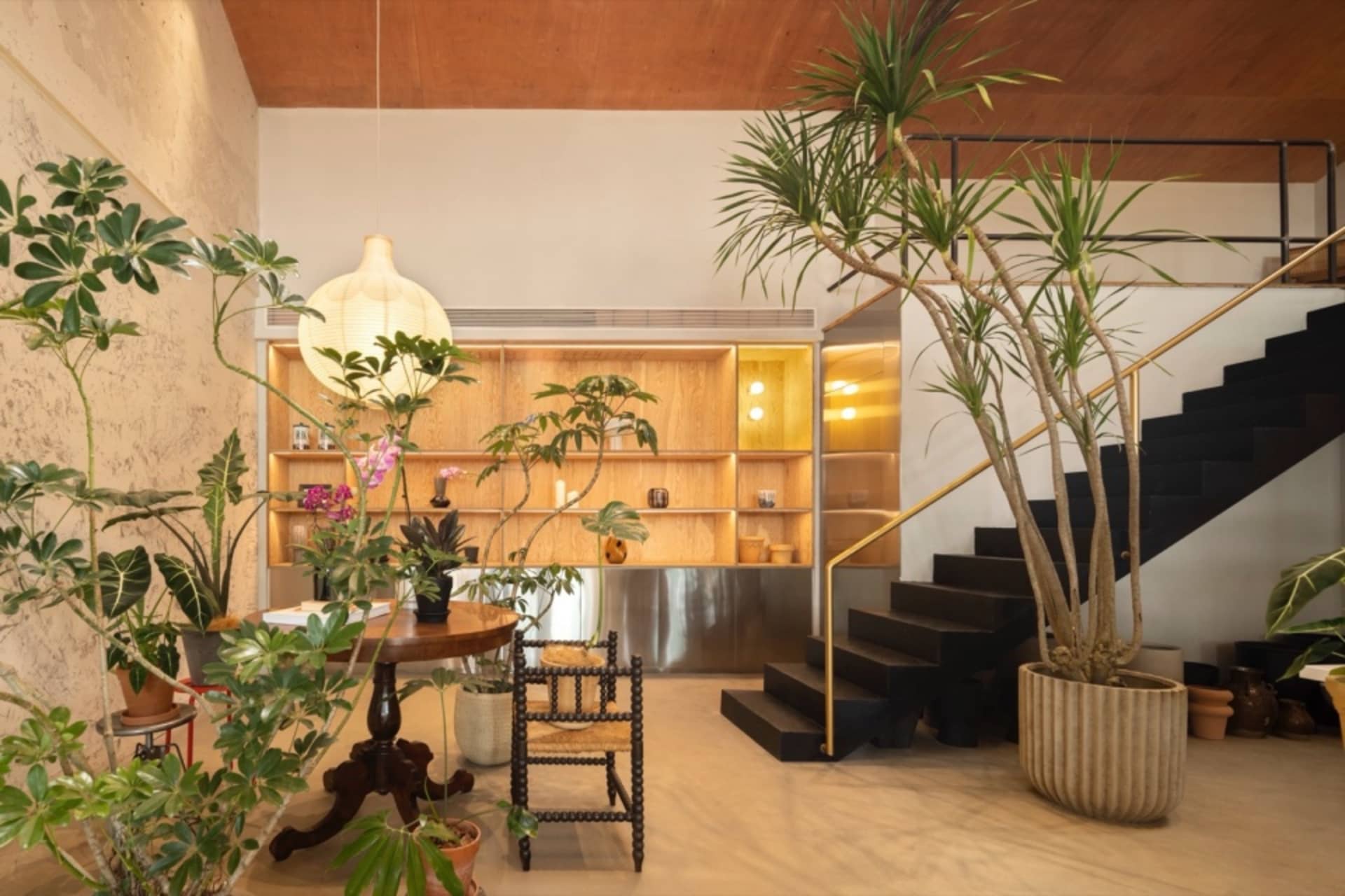 A modern living room featuring wooden furniture, concrete elements, and various potted plants.