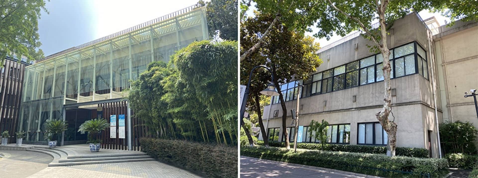 Two modern buildings in an urban setting, one with a glass facade and bamboo plants, and the other with large windows and a t