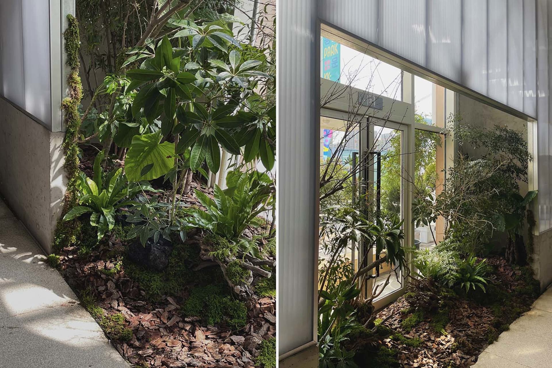 室內綠植與植物靠近建築物。