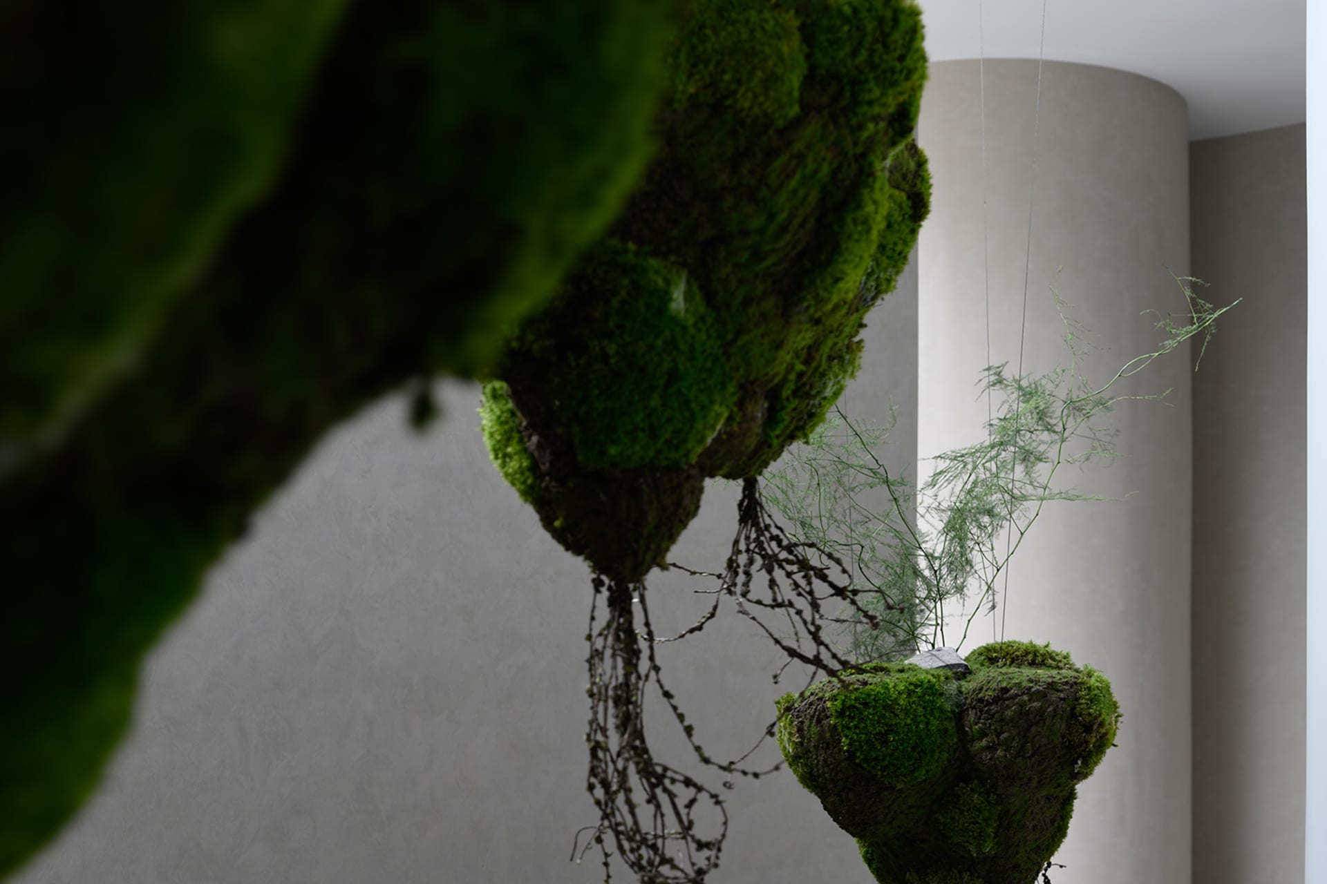 A modern greenhouse interior with moss-covered plants.