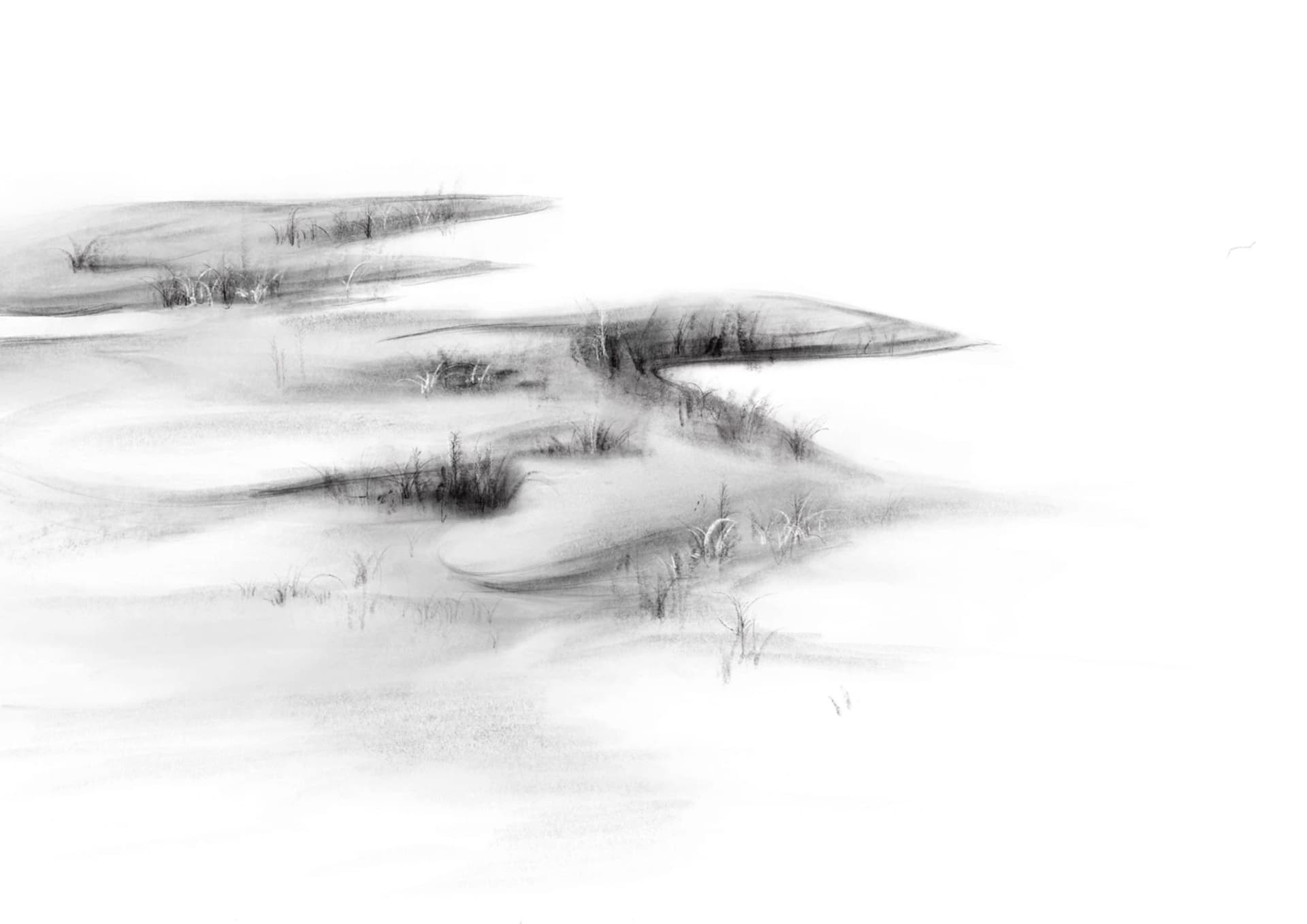 單色素描描繪沙漠景觀，包含沙丘、草地與水域。