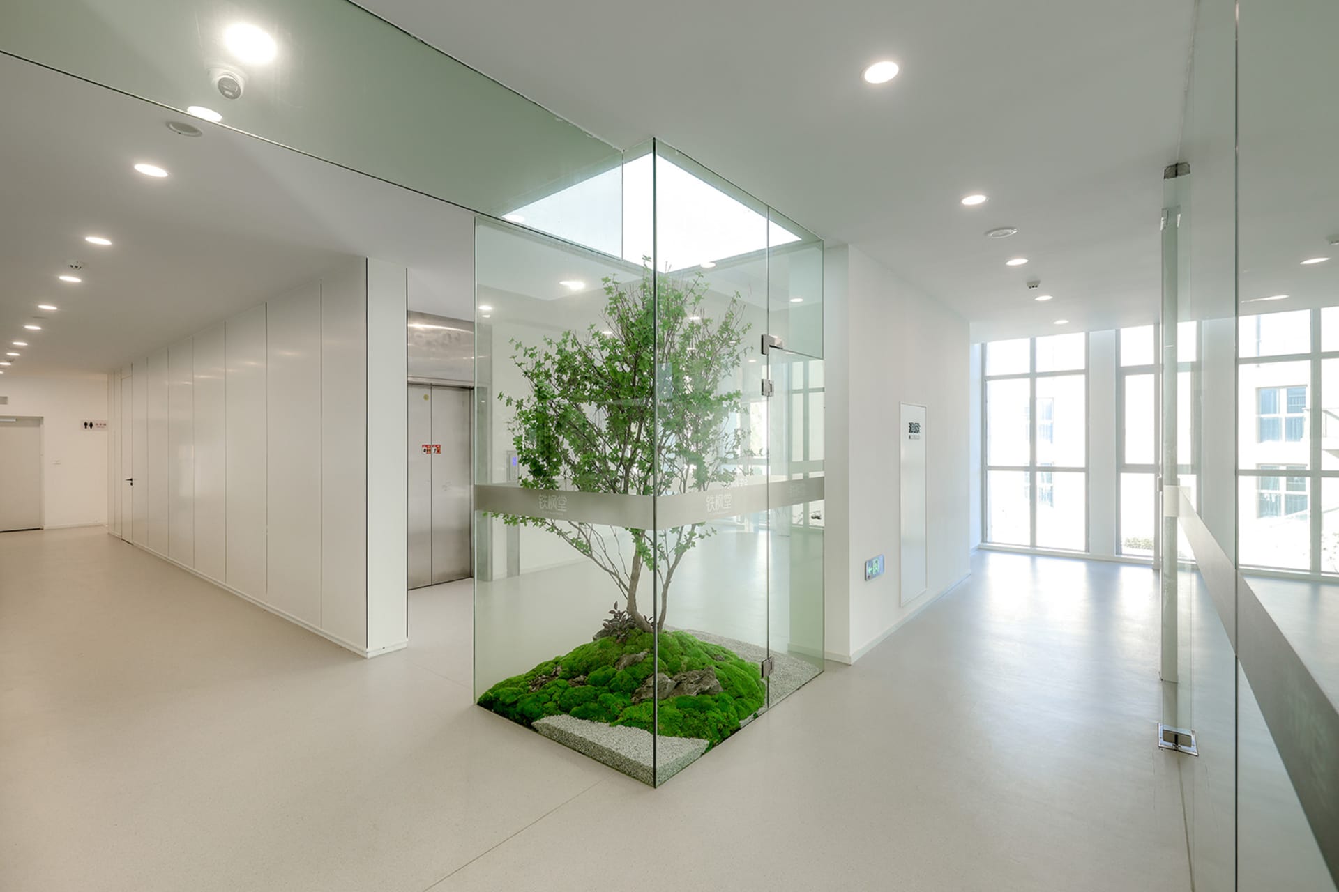 現代工業風企業入口處,展示一棵玻璃圍繞的綠色樹木。