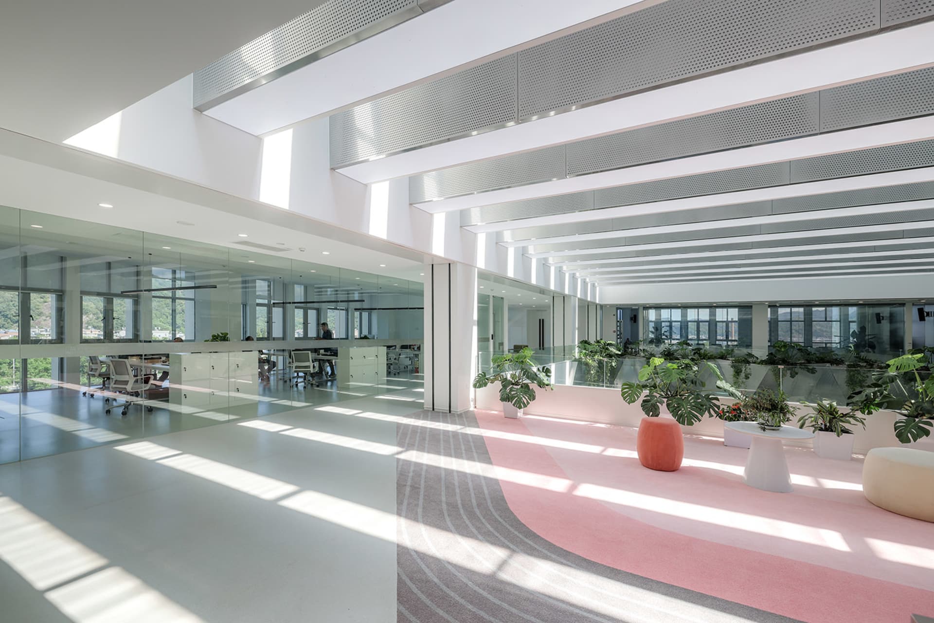 現代辦公室空間內景,展現玻璃牆、混凝土地板以及各式植栽。