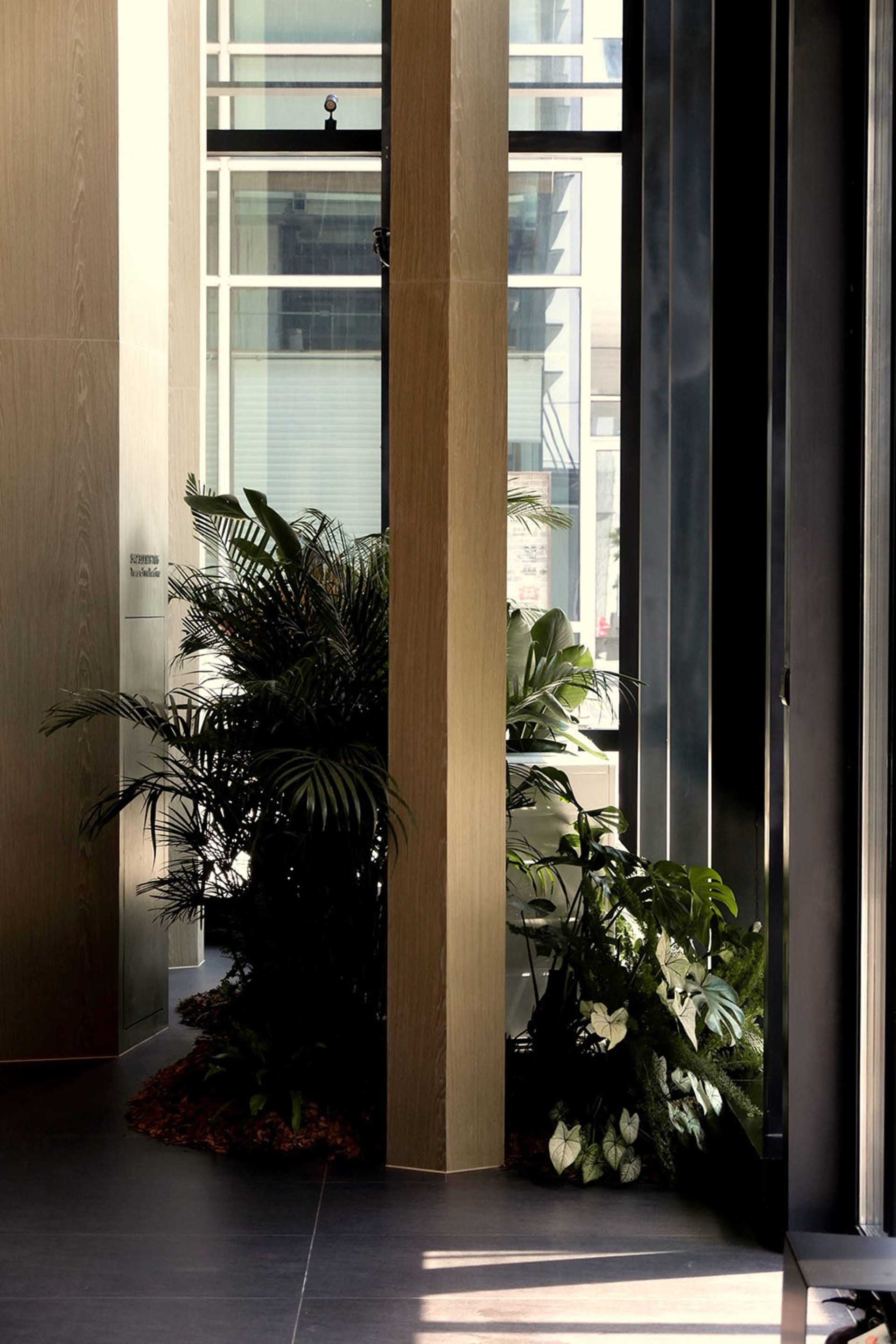現代辦公室空間,展現木質與玻璃元素以及裝飾性植物。