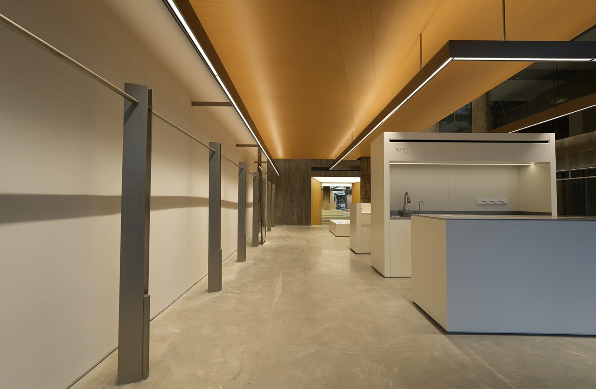Modern architectural interior with timber ceiling and white walls.