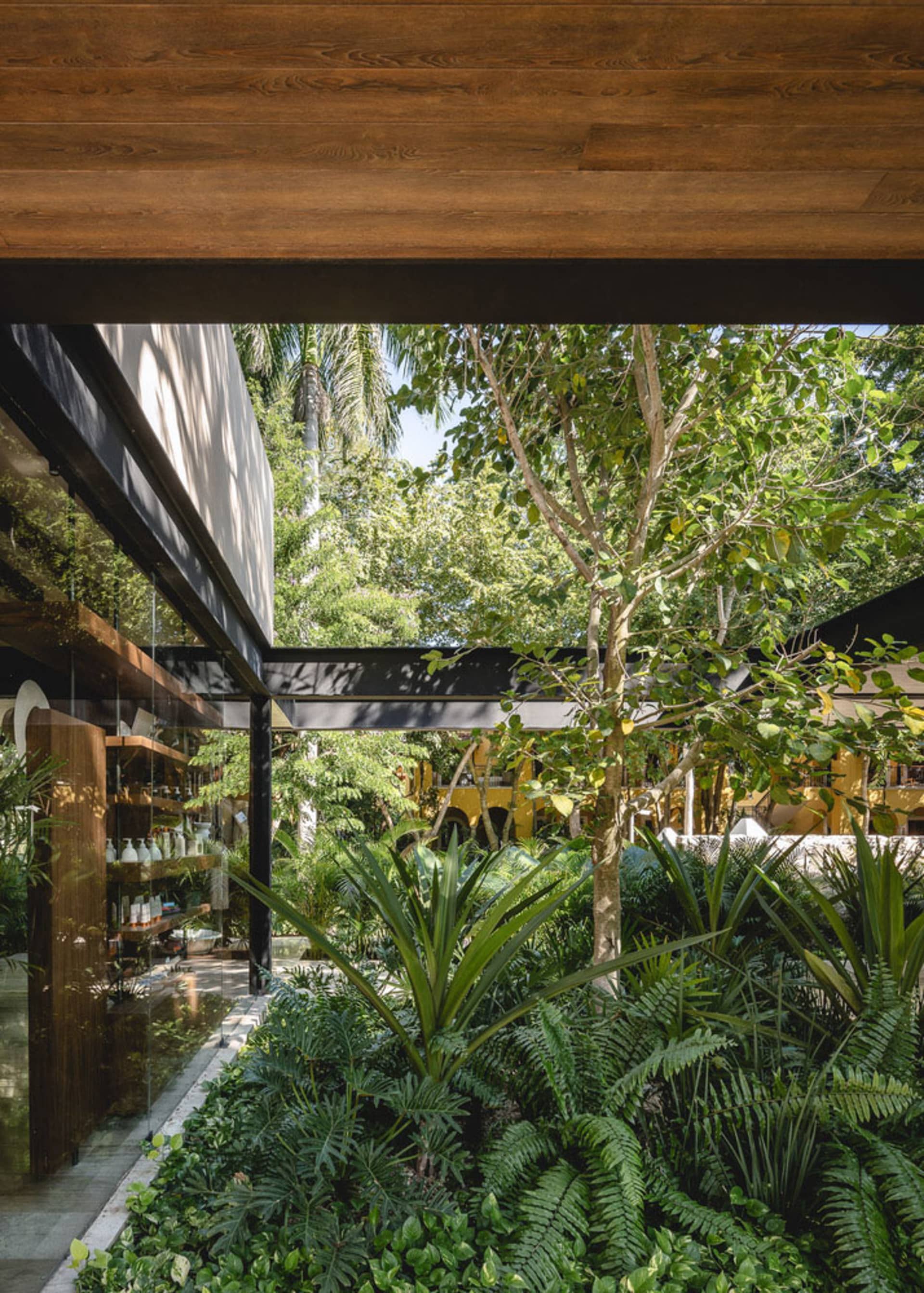 A minimalist café with a nature-inspired design featuring wood and glass materials.