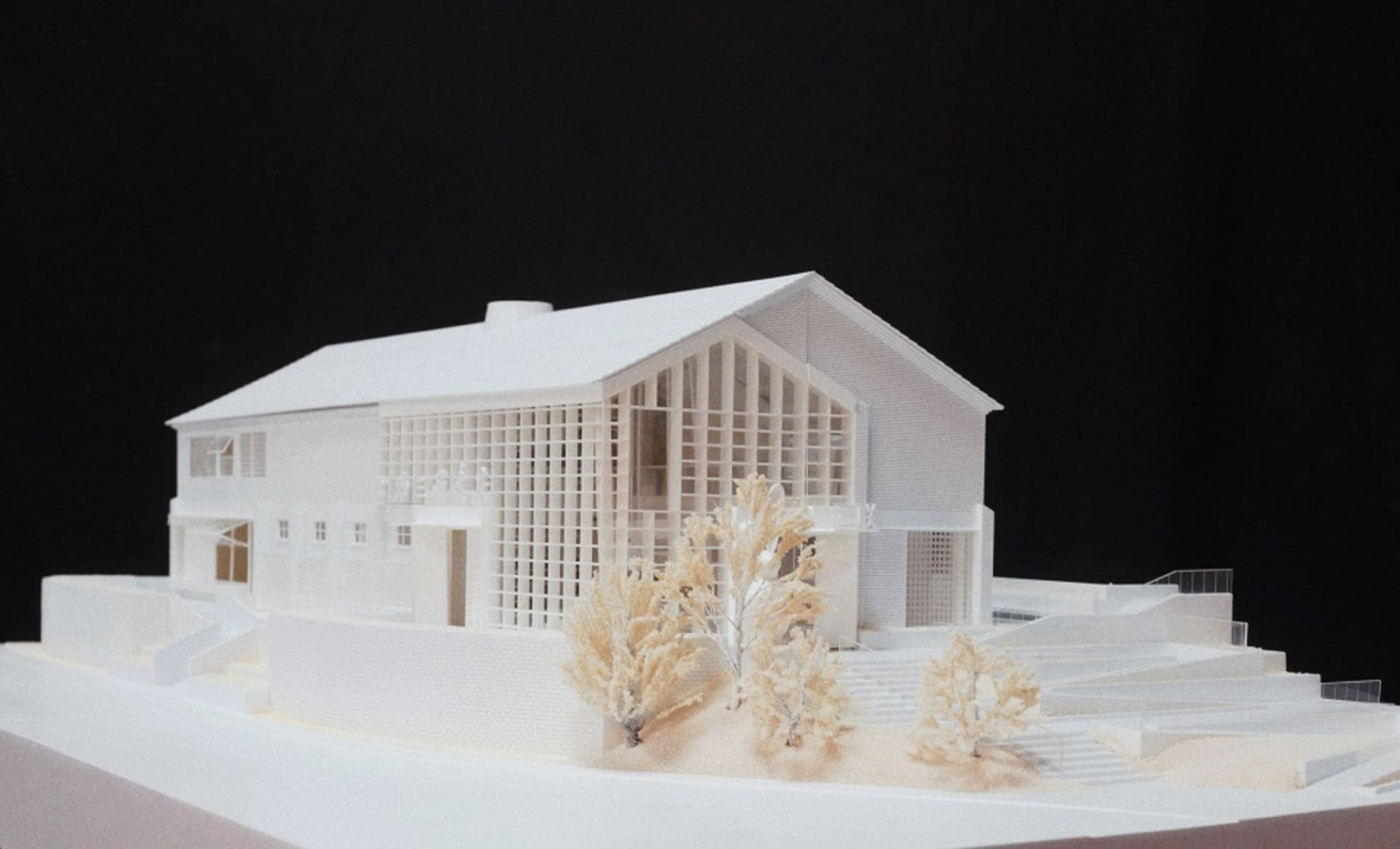 A 3D architectural model of a modern house with white polymer exterior materials and a minimalist design.