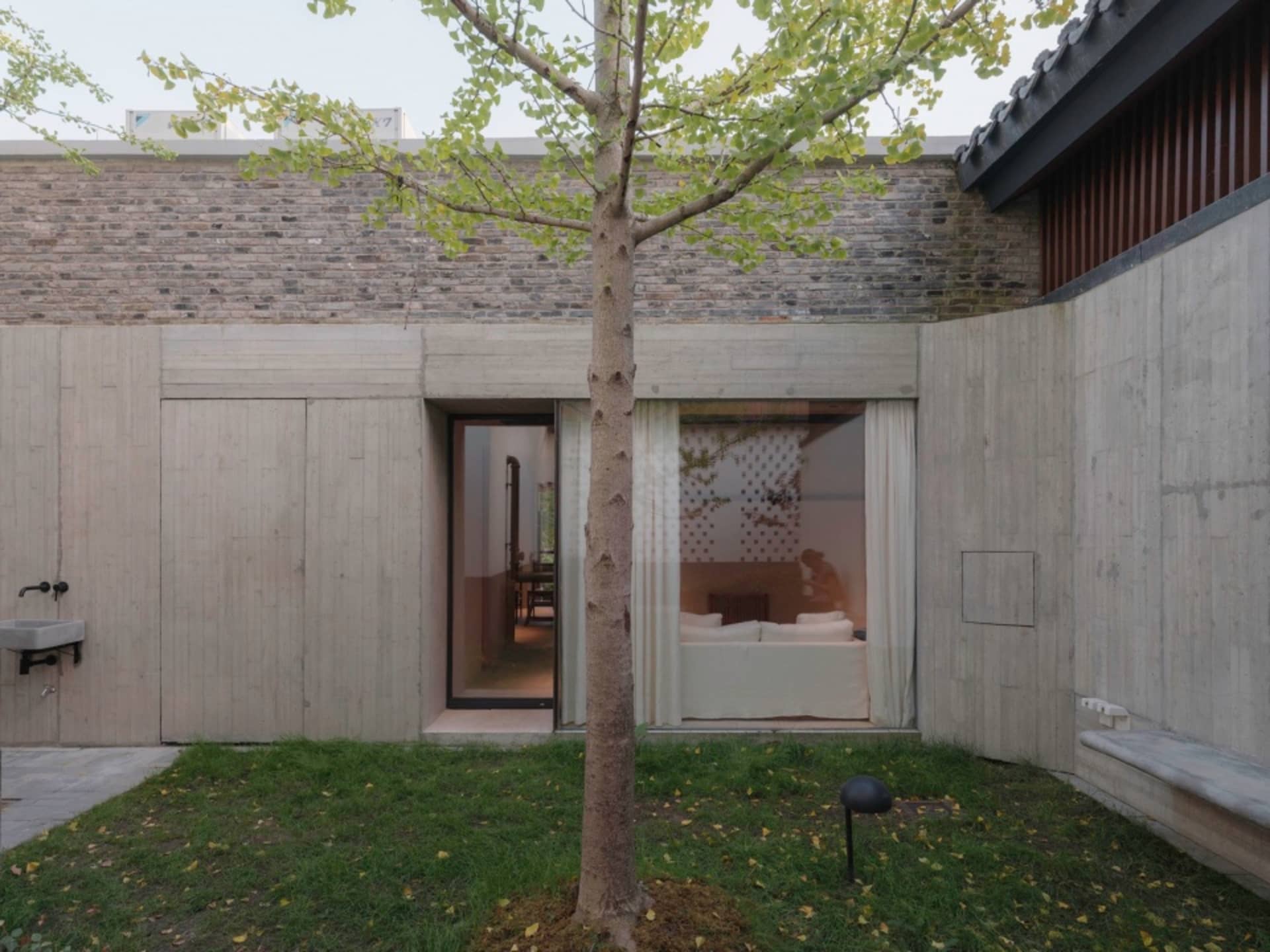 一座極簡住宅建築，擁有混凝土牆面與花園中的單株樹木。
