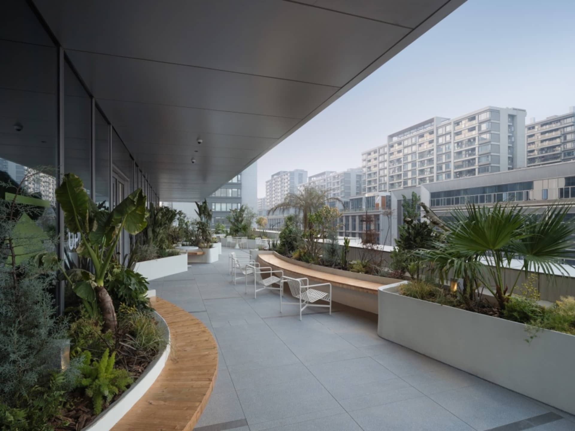 A modern rooftop garden made of concrete with a variety of plants.