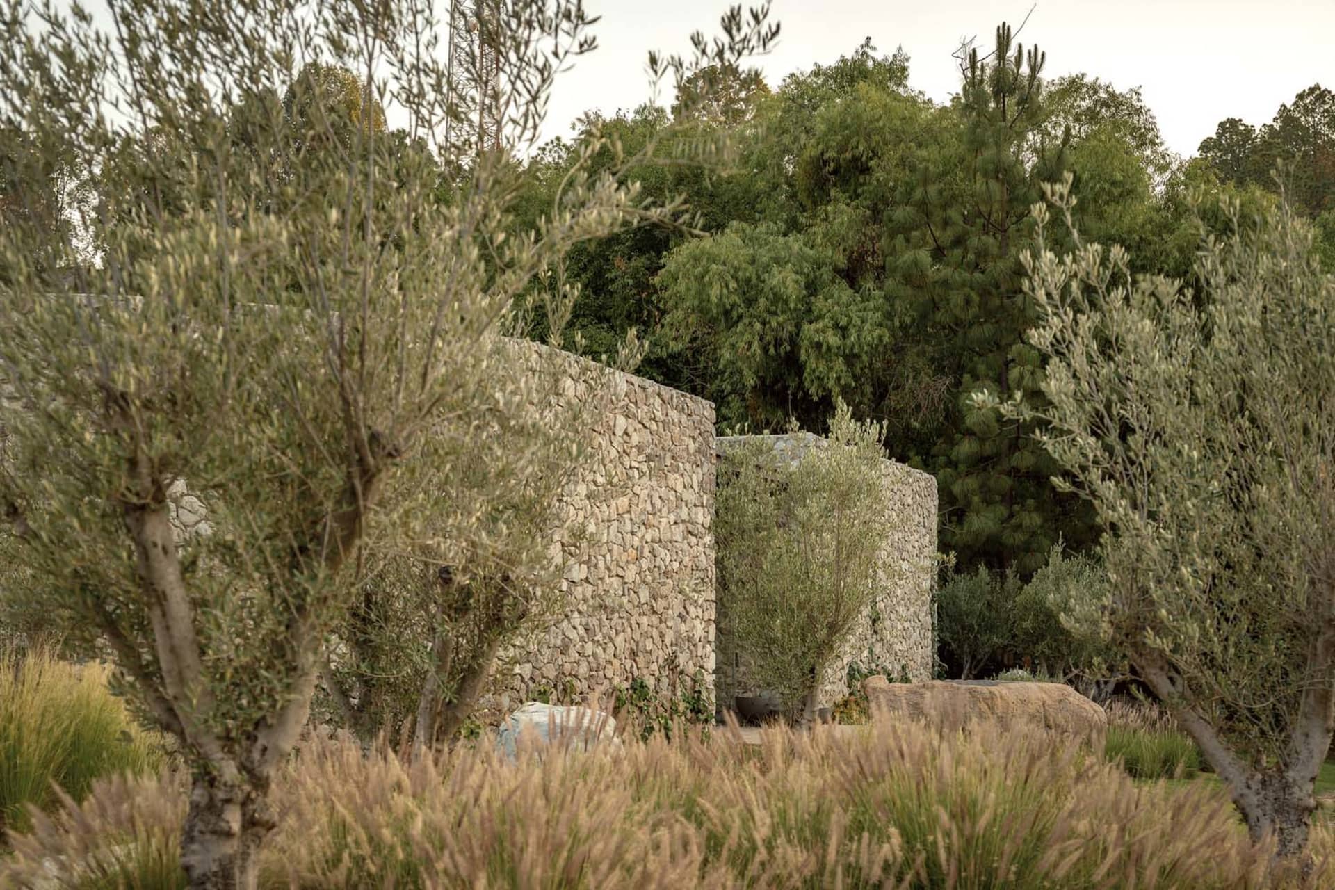 極簡花園中矗立著石牆,旁有高聳的草叢,四周環繞著樹木。