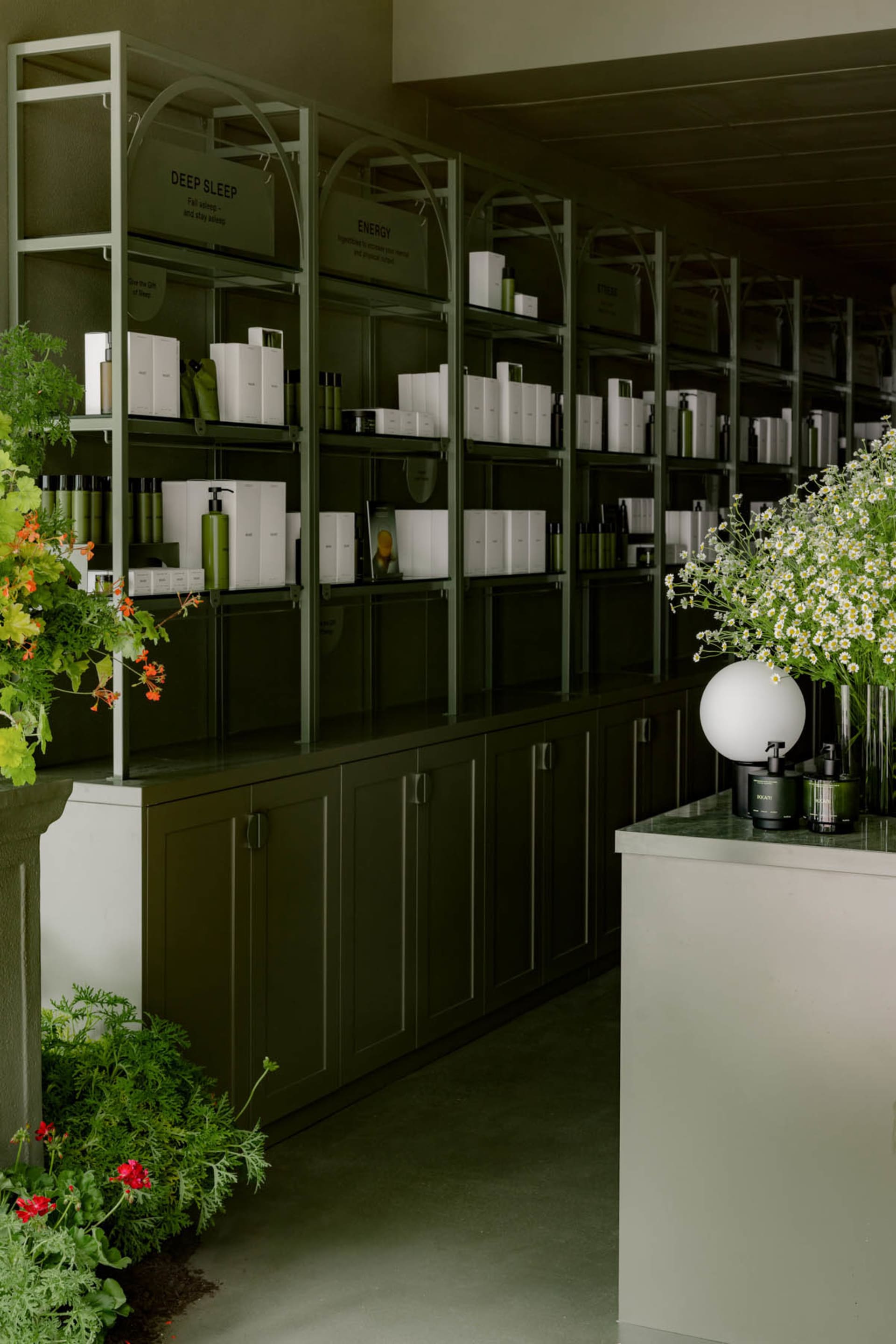 Modern spa retail interior with glass shelves and flowers decor.