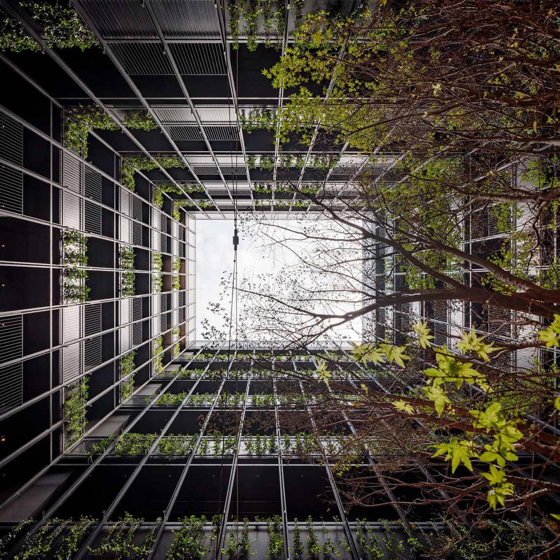 現代都市建築搭配綠色屋頂,聳立於高樓大廈之間。
