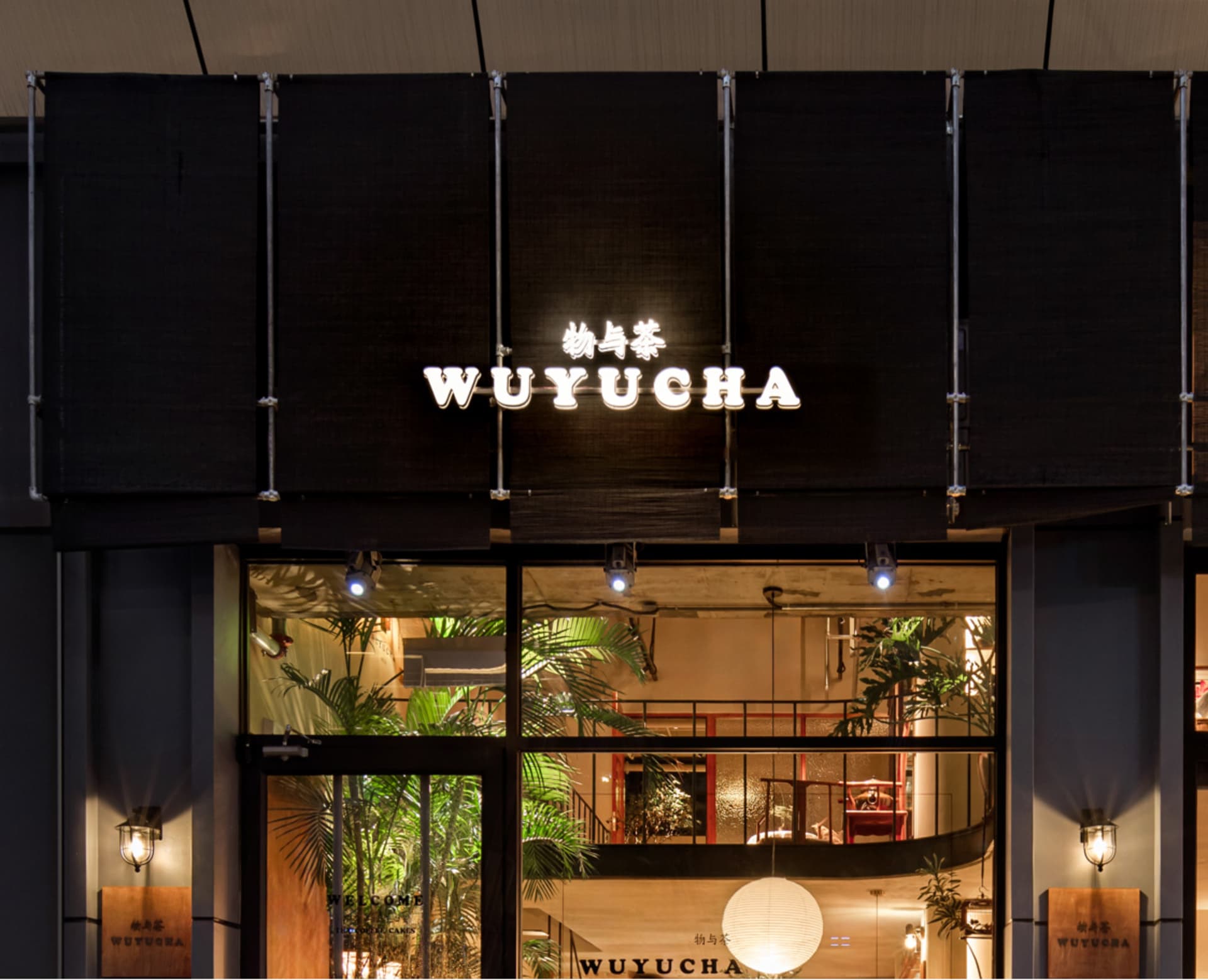 現代店面玻璃立面、燈光與室內綠意。