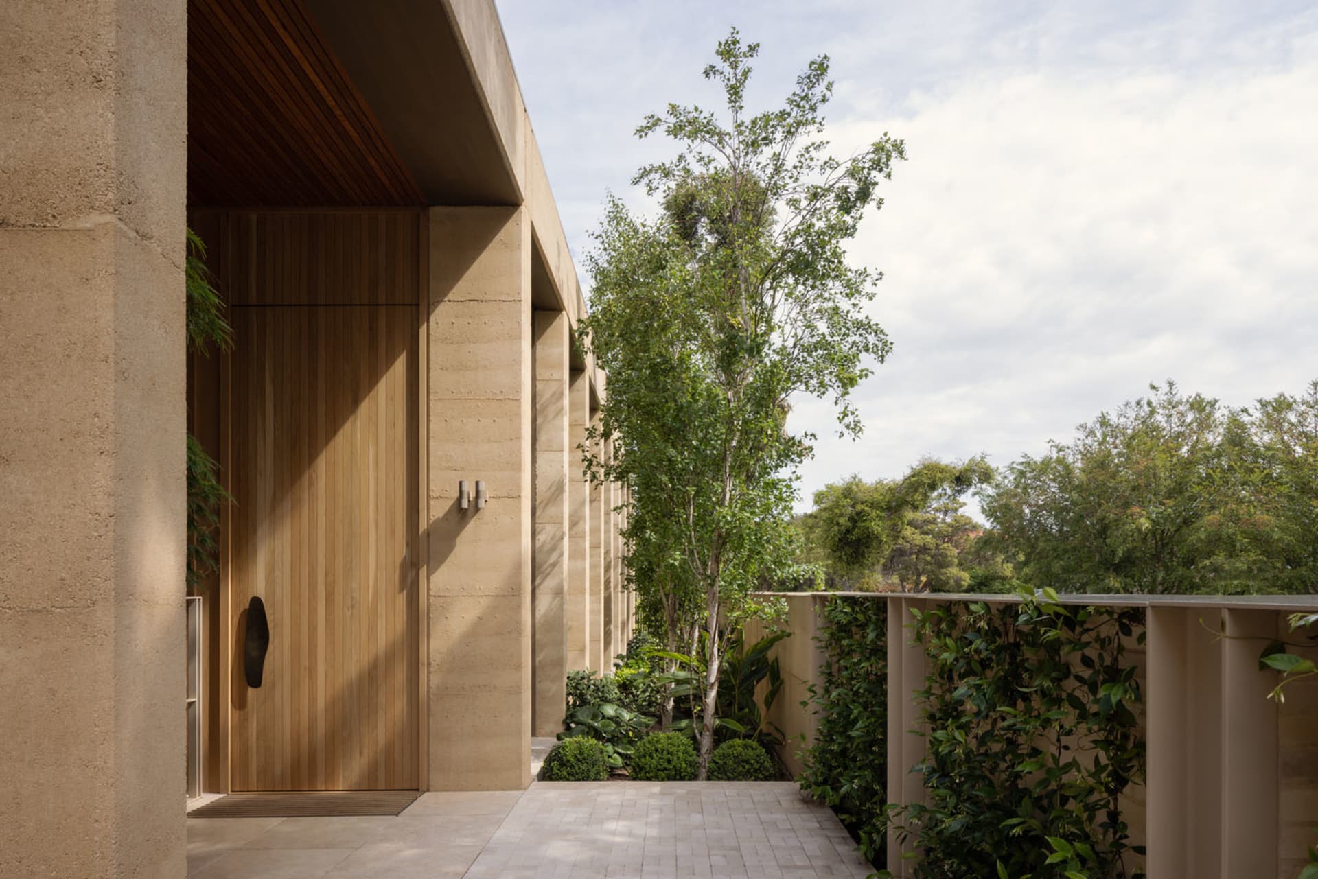 A modern minimalist entryway featuring a wooden door and concrete walls with a tree and greenery in the background.