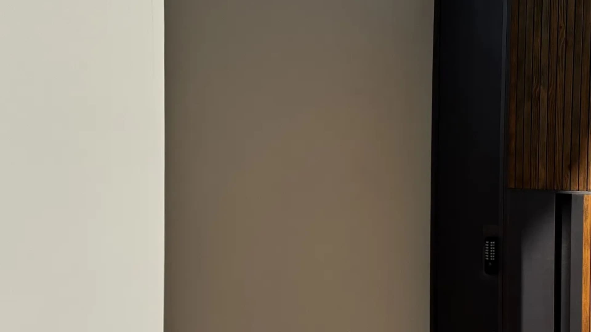 現代室內設計，搭配簡約金屬黑色櫥櫃。