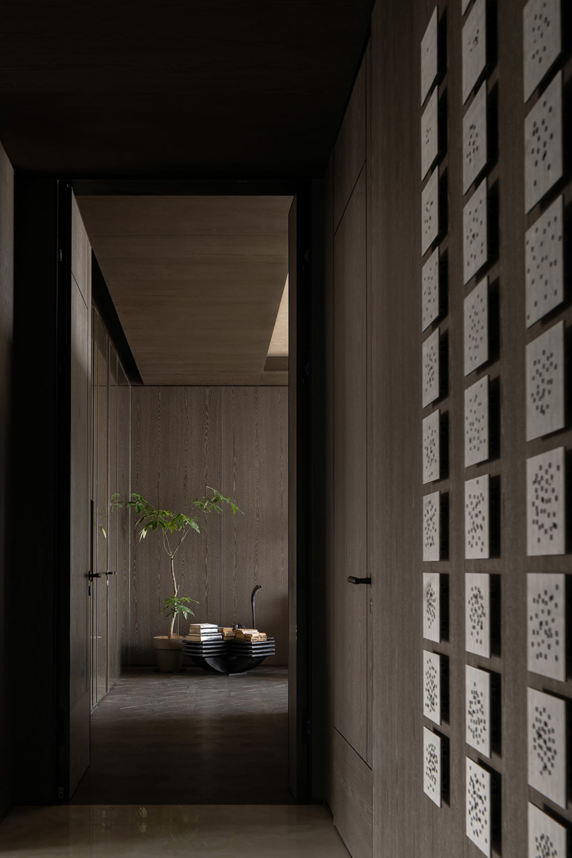 A minimalist entrance featuring wood panels and a potted plant.