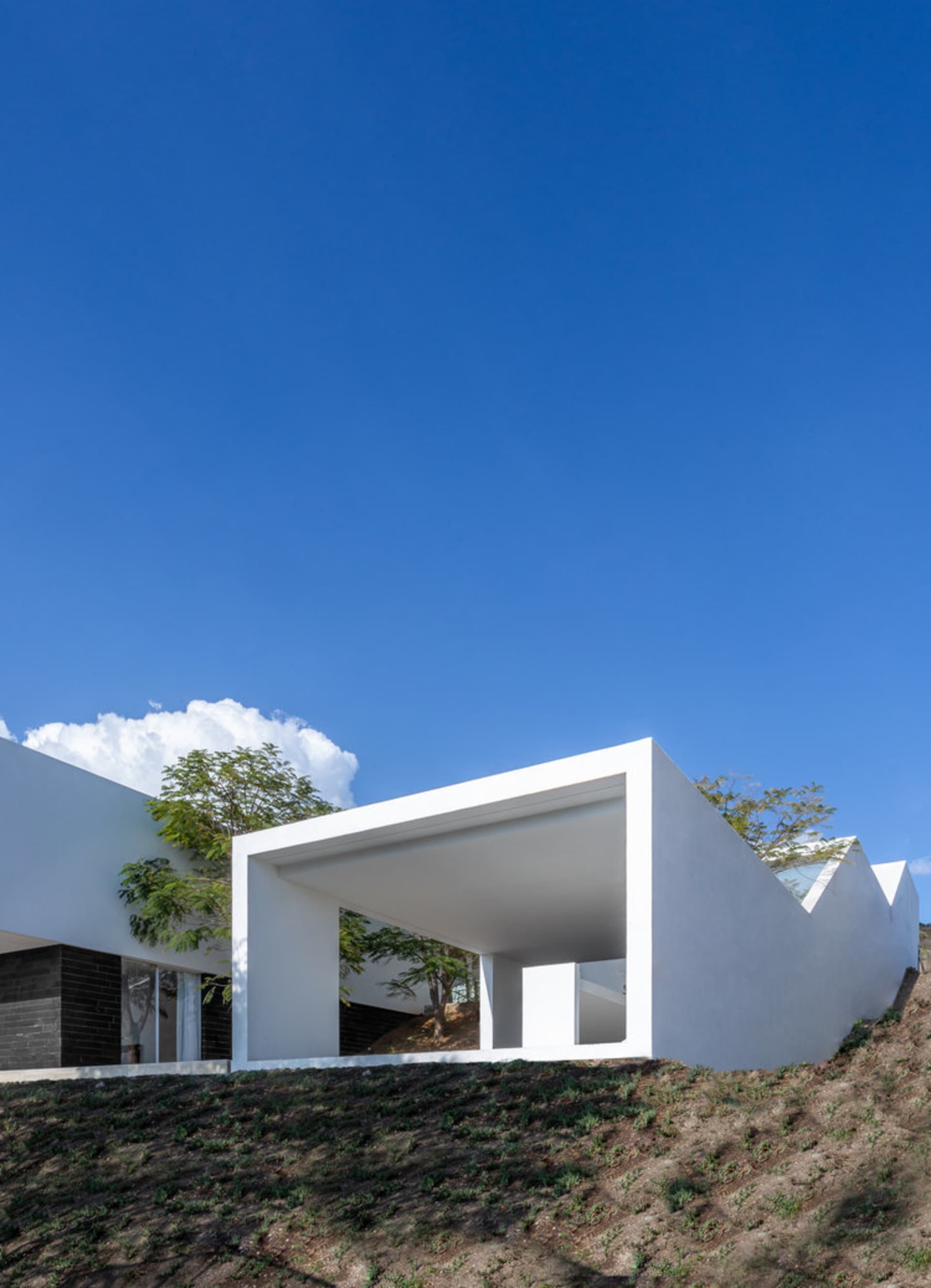 A modern house with concrete walls and a blurred background.