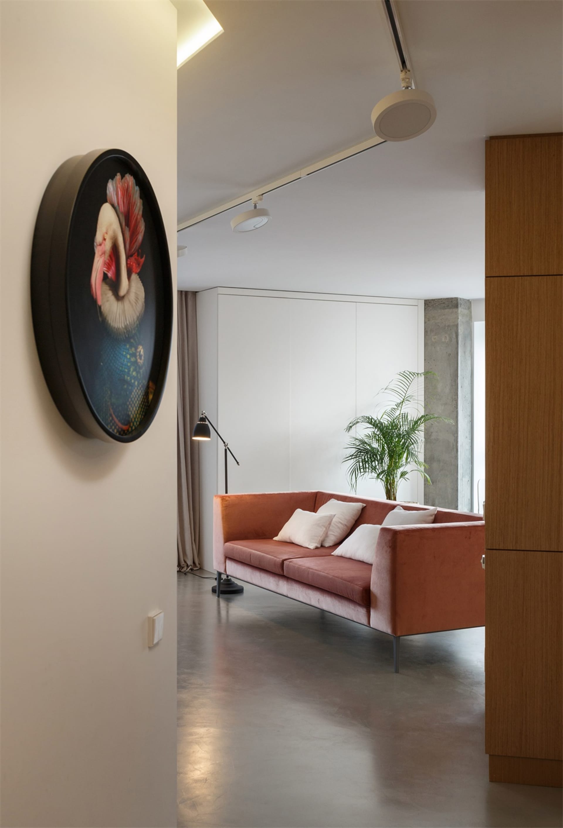 A sleek, modern living room with a velvet couch and concrete flooring.