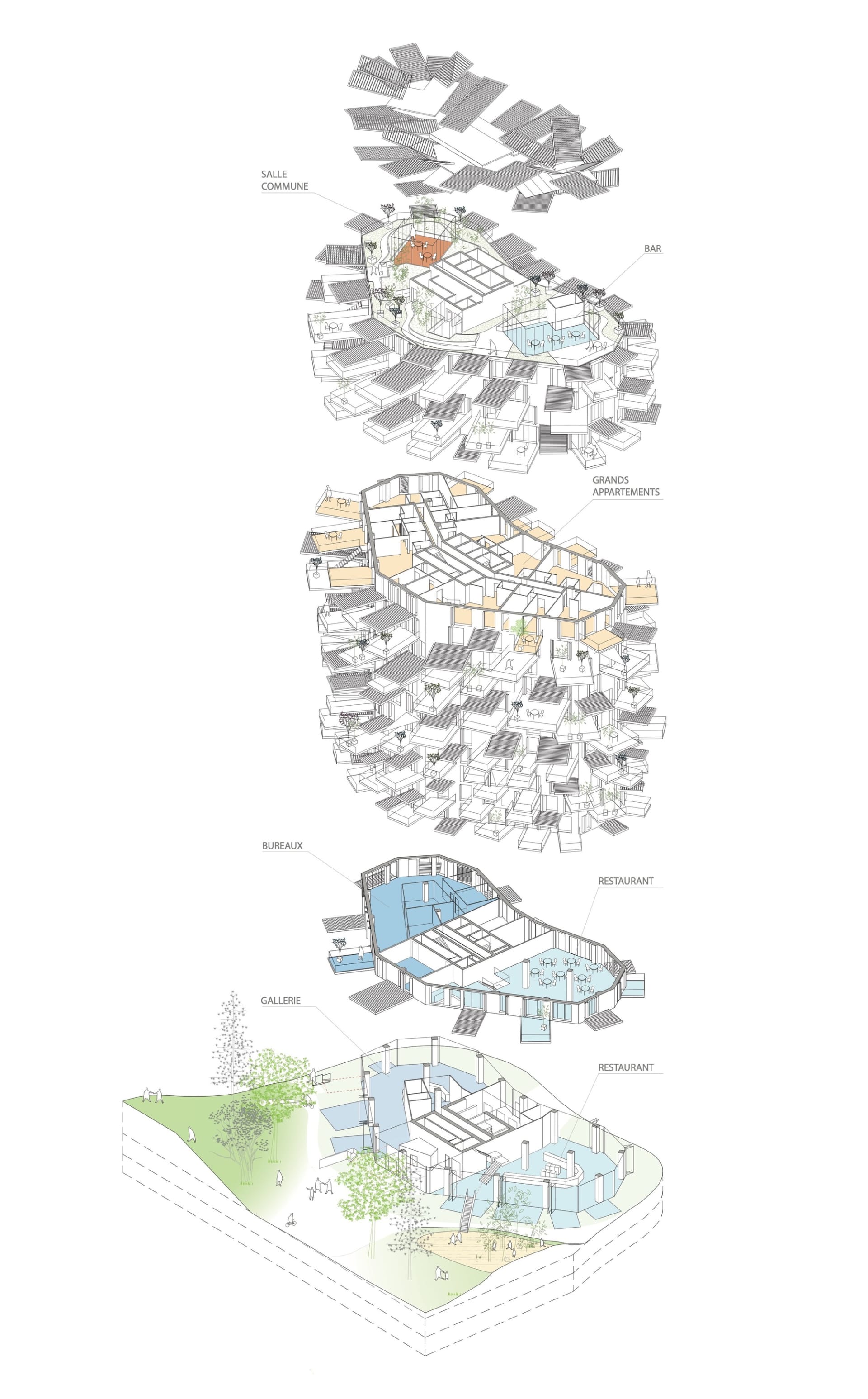 一張建築剖面圖,展示以木、玻璃與金屬材質打造的住宅建築。