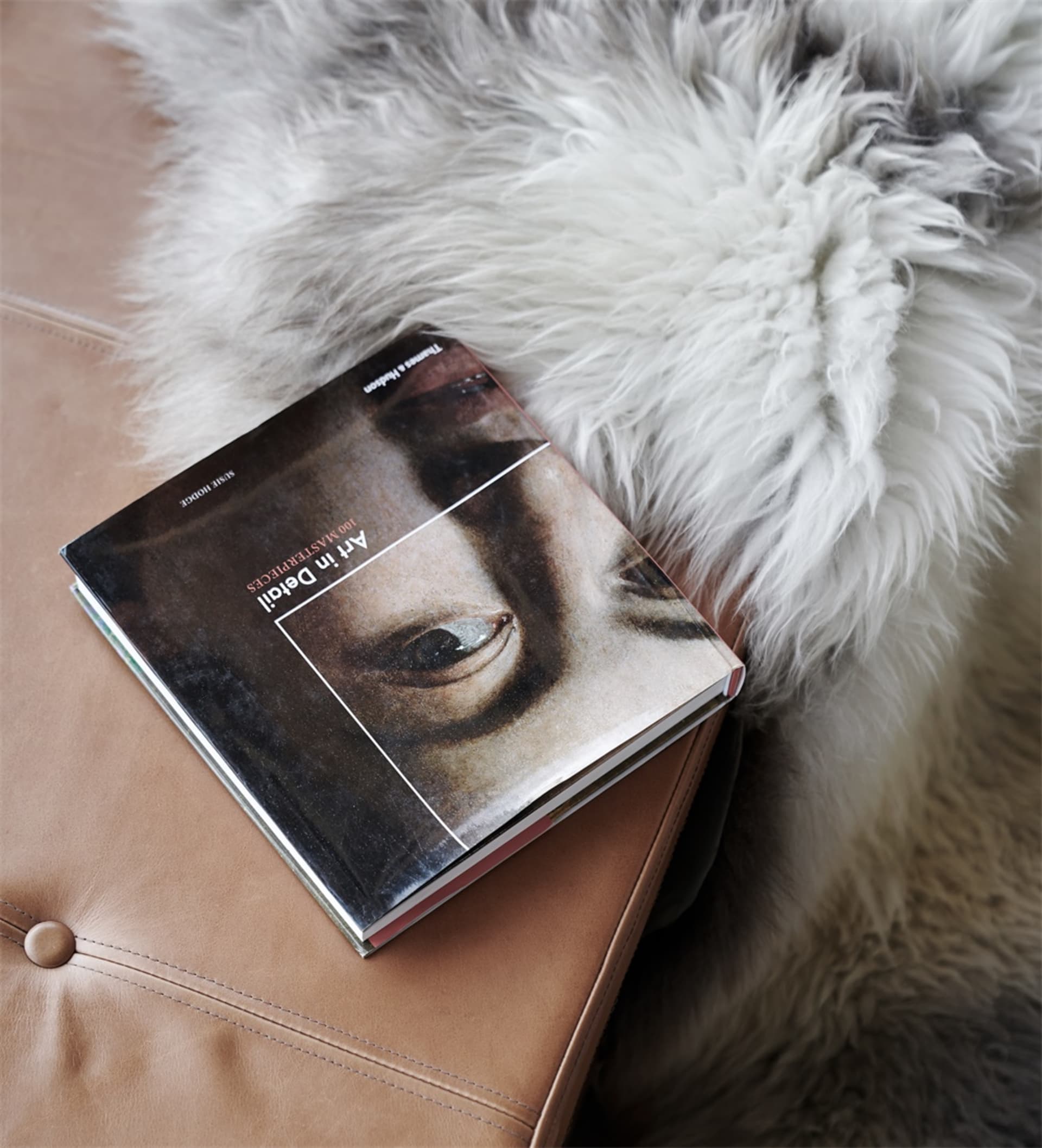 A book titled 'Art-In-Detail-Hardcover' placed on a textured surface.