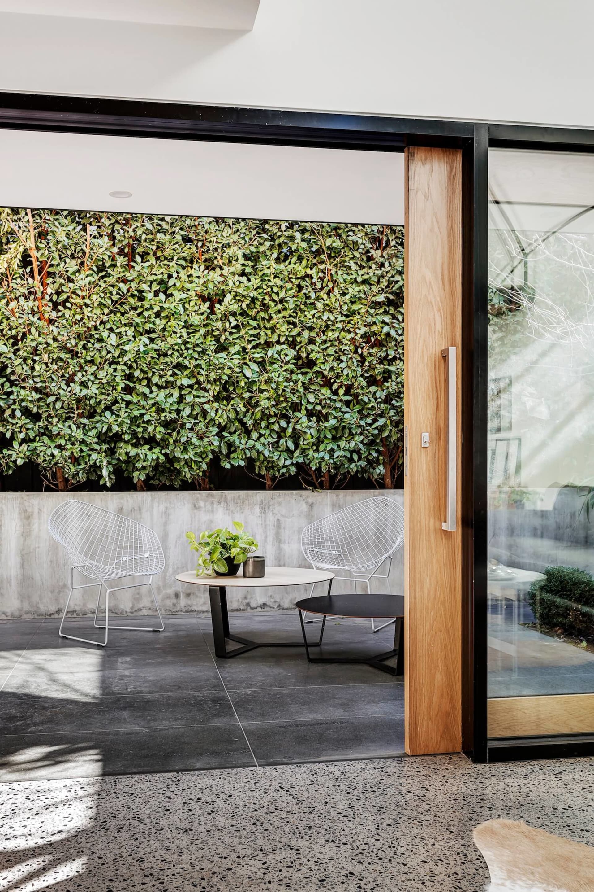 Modern metal wire patio furniture with green plants and a wooden wall.