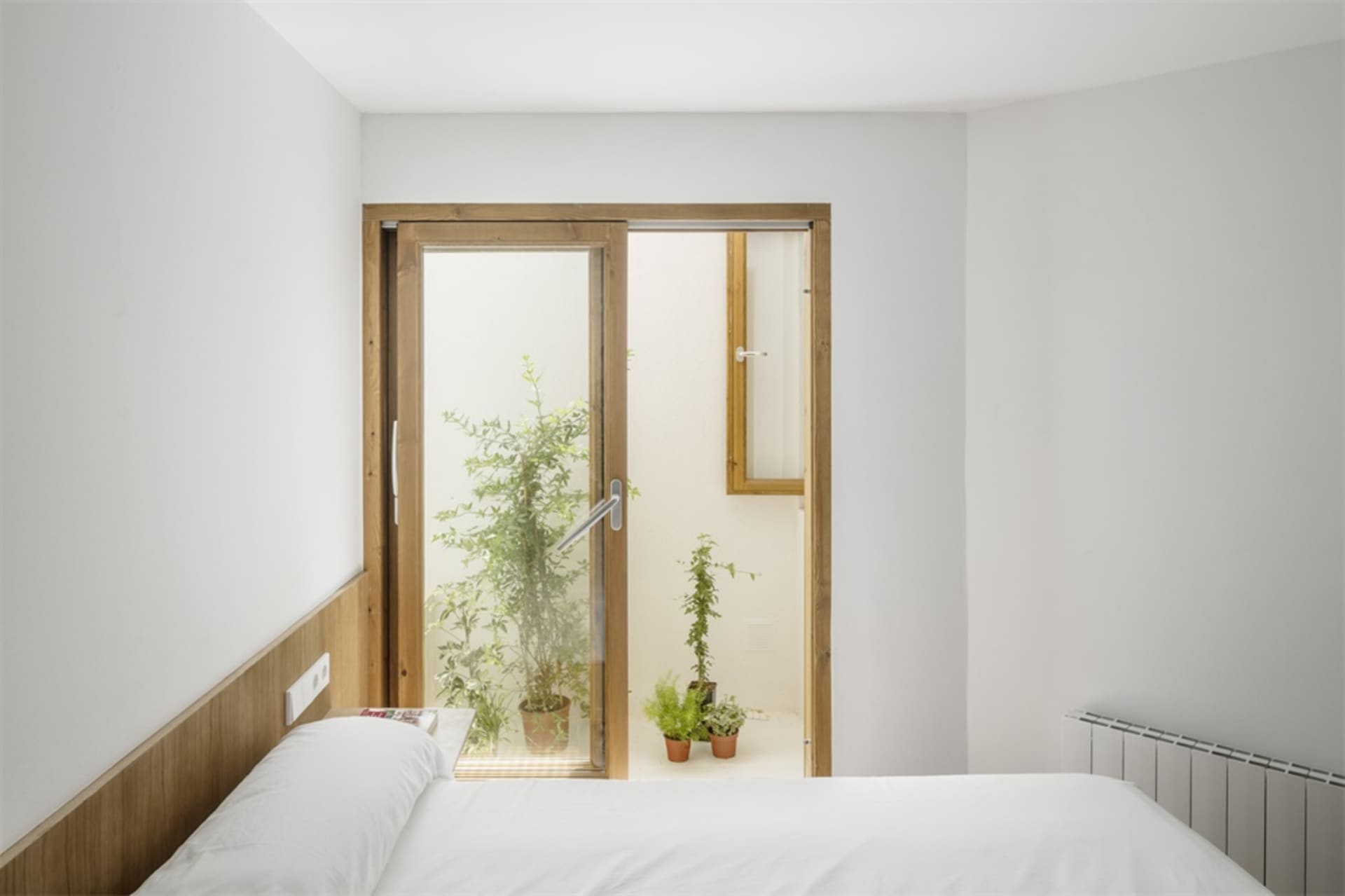 Modern minimalist bedroom with white walls, wooden headboard, and potted plants.
