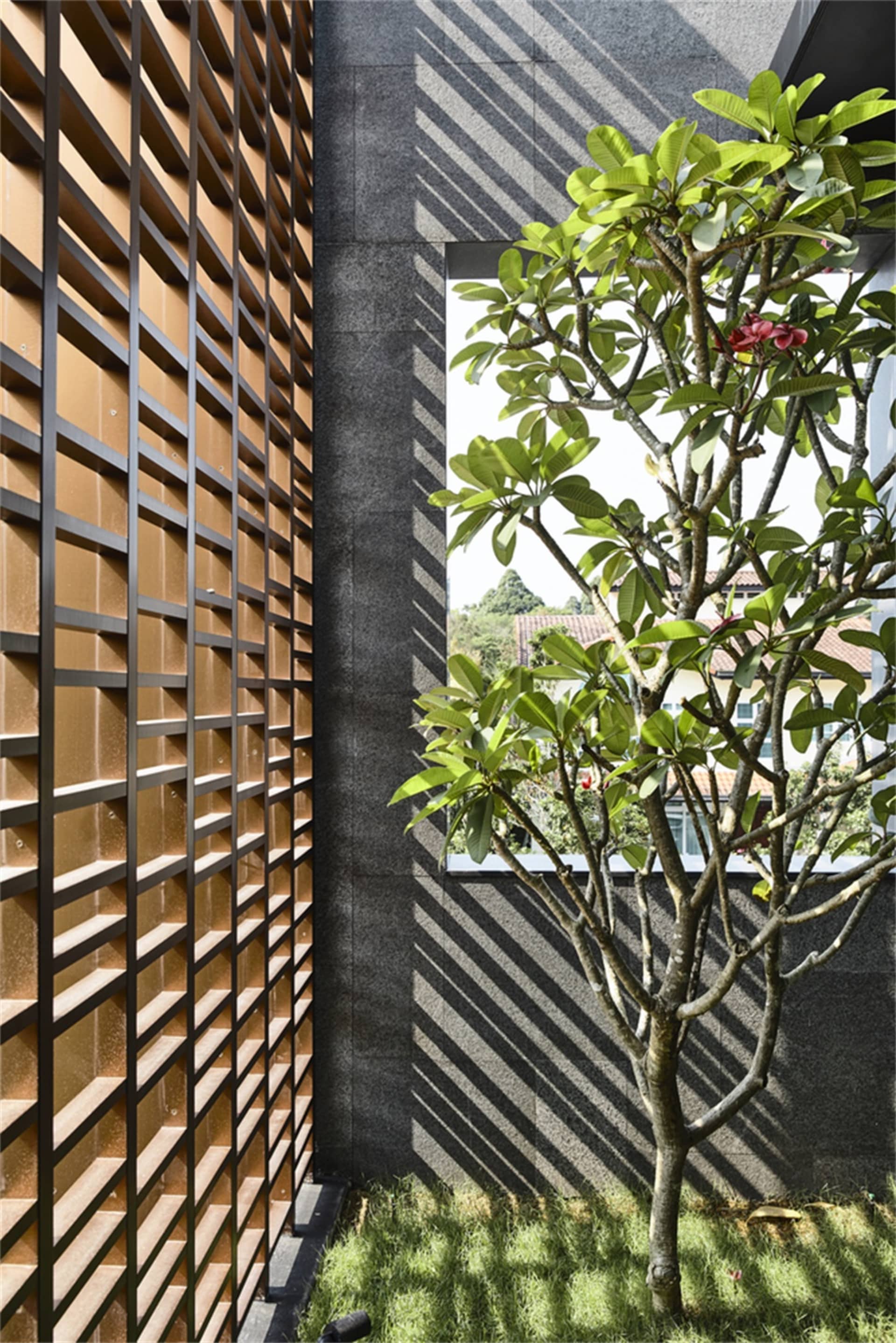 Modern exterior with wooden panel cladding and a tree with red flowers in the foreground.
