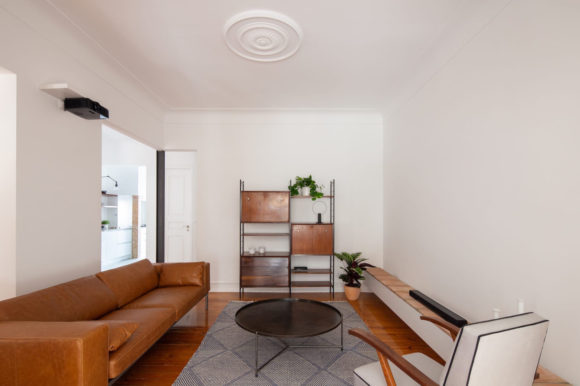 A minimalist living room featuring a brown leather couch and a wooden shelf with green plants.