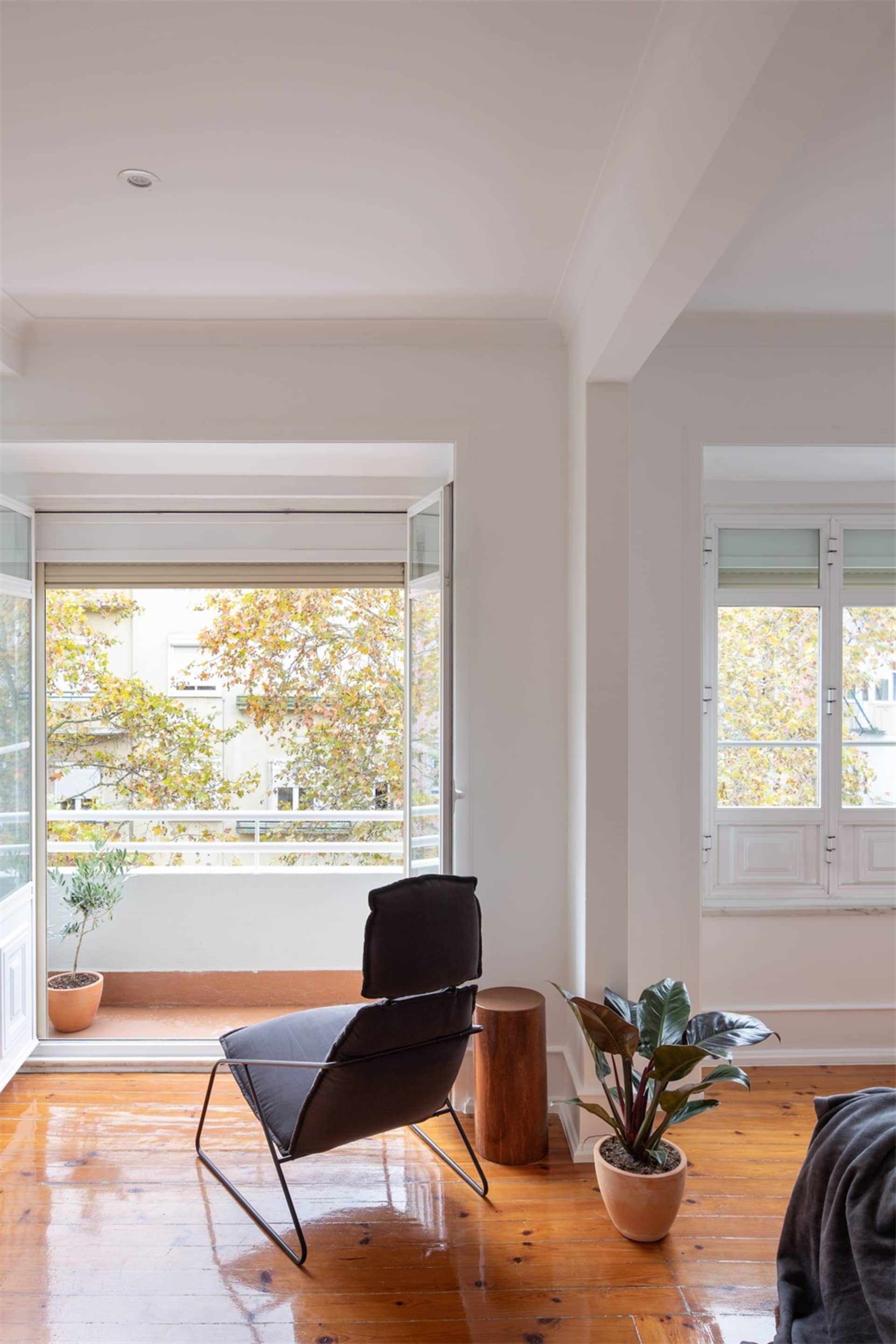 A modern living room featuring hardwood floors, a comfortable chair, and indoor plants.