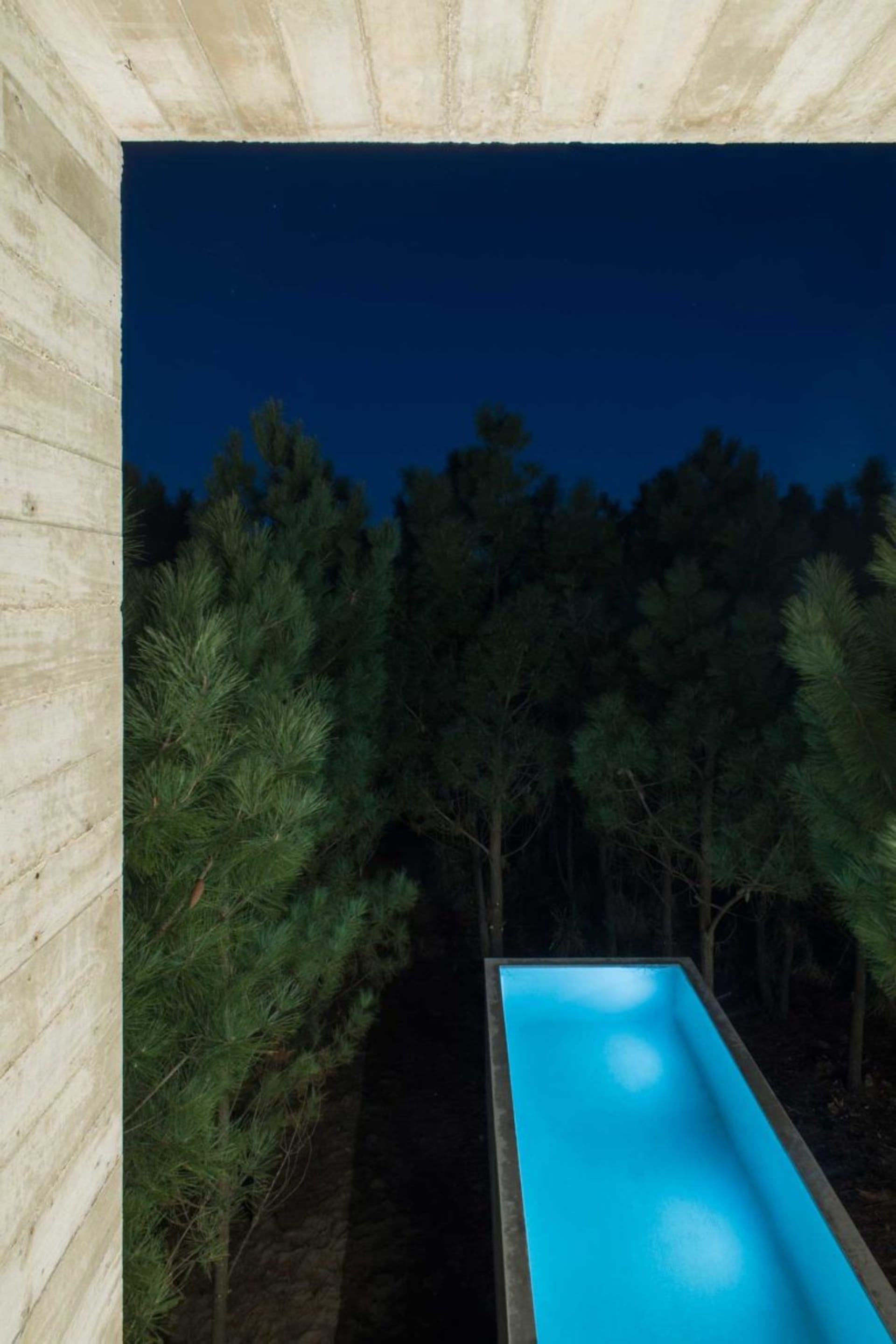 A modern swimming pool with concrete walls and blue water, surrounded by tall trees at night.