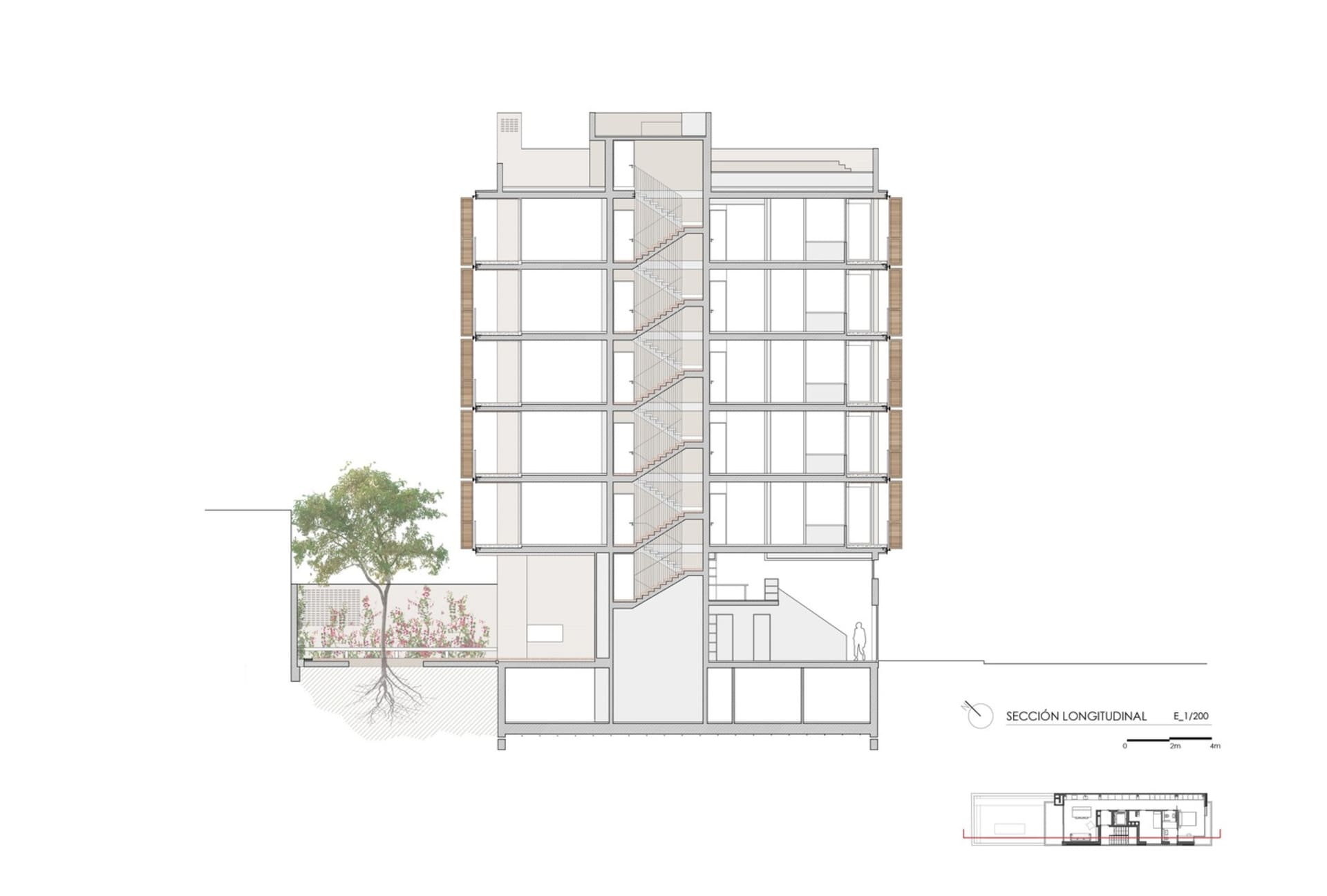 Longitudinal section of a multi-story architectural design featuring stairs, glass windows, and a garden area.
