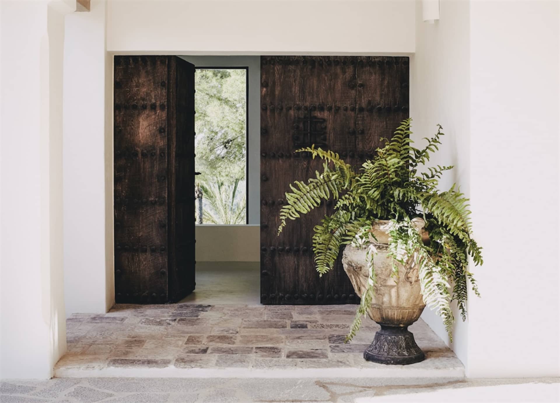 A modern entrance hall featuring dark wooden walls, a large green fern plant in a decorative planter, and a stone pavement fl