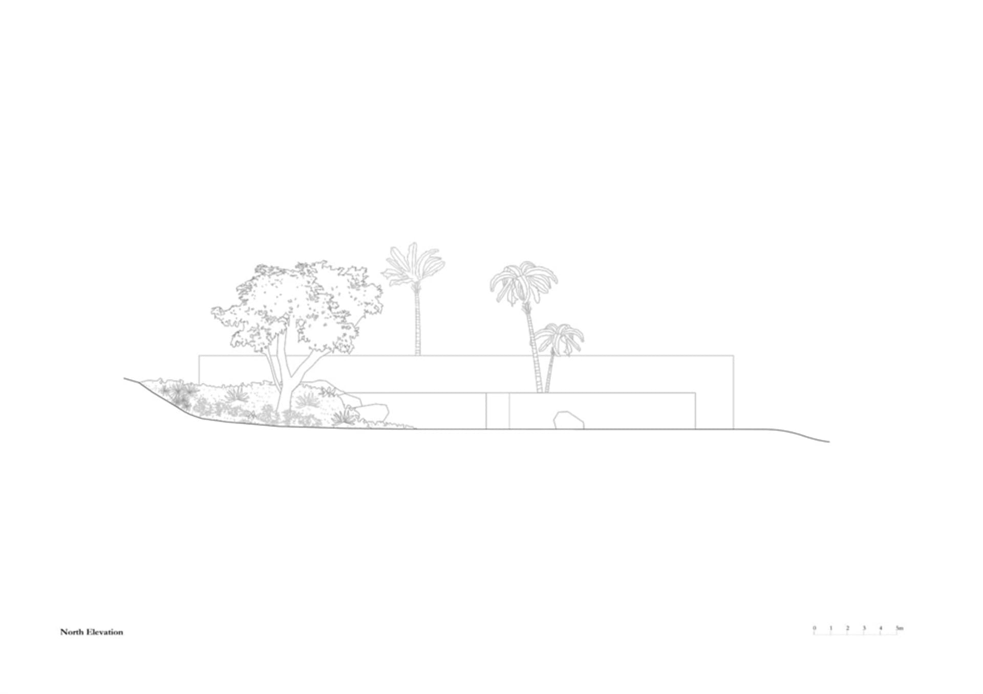 Plan of a house exterior with a concrete structure and palm trees.