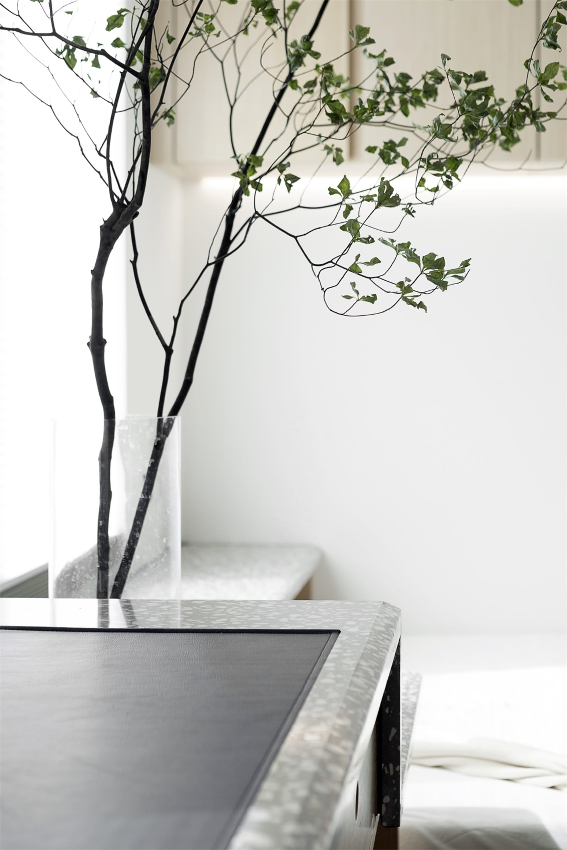 A minimalist interior design featuring a glass vase with green foliage on a sleek, modern surface.