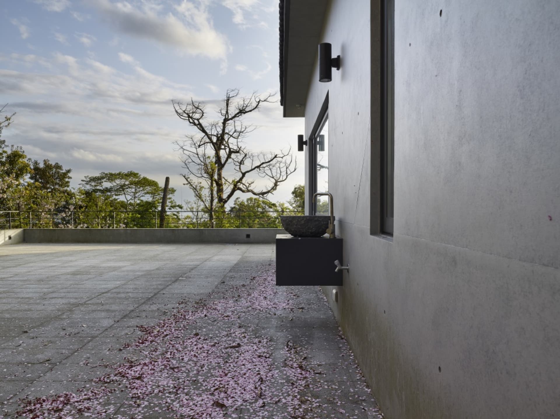 Concrete pavement with scattered pink petals in a modern backyard setting
