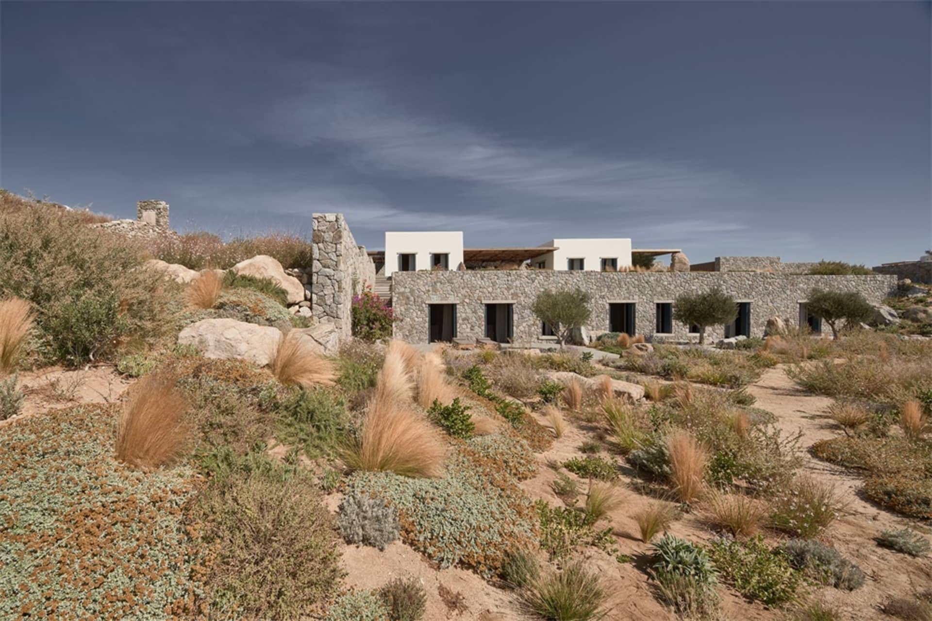 A modern house with stone walls and a flat rooftop surrounded by wild vegetation.
