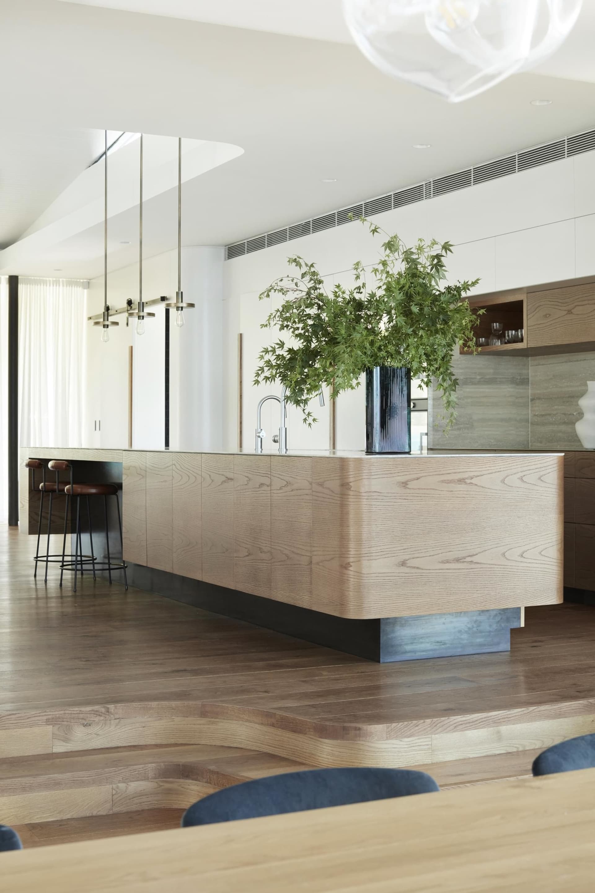 Modern kitchen with wooden finishes, contemporary fixtures, and green plant.