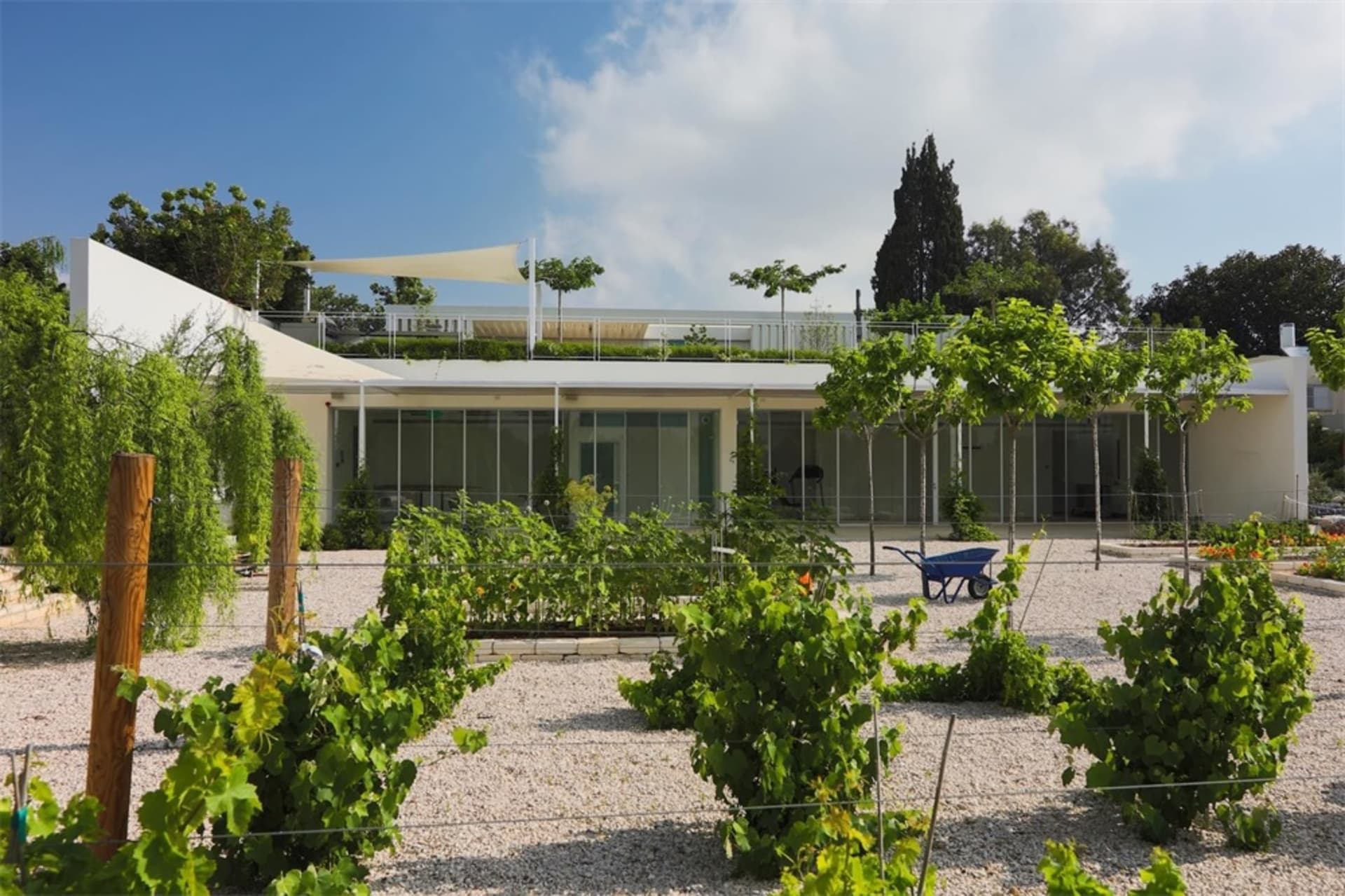 A minimalist residential landscape featuring flowerbeds, gravel, and wooden stakes.