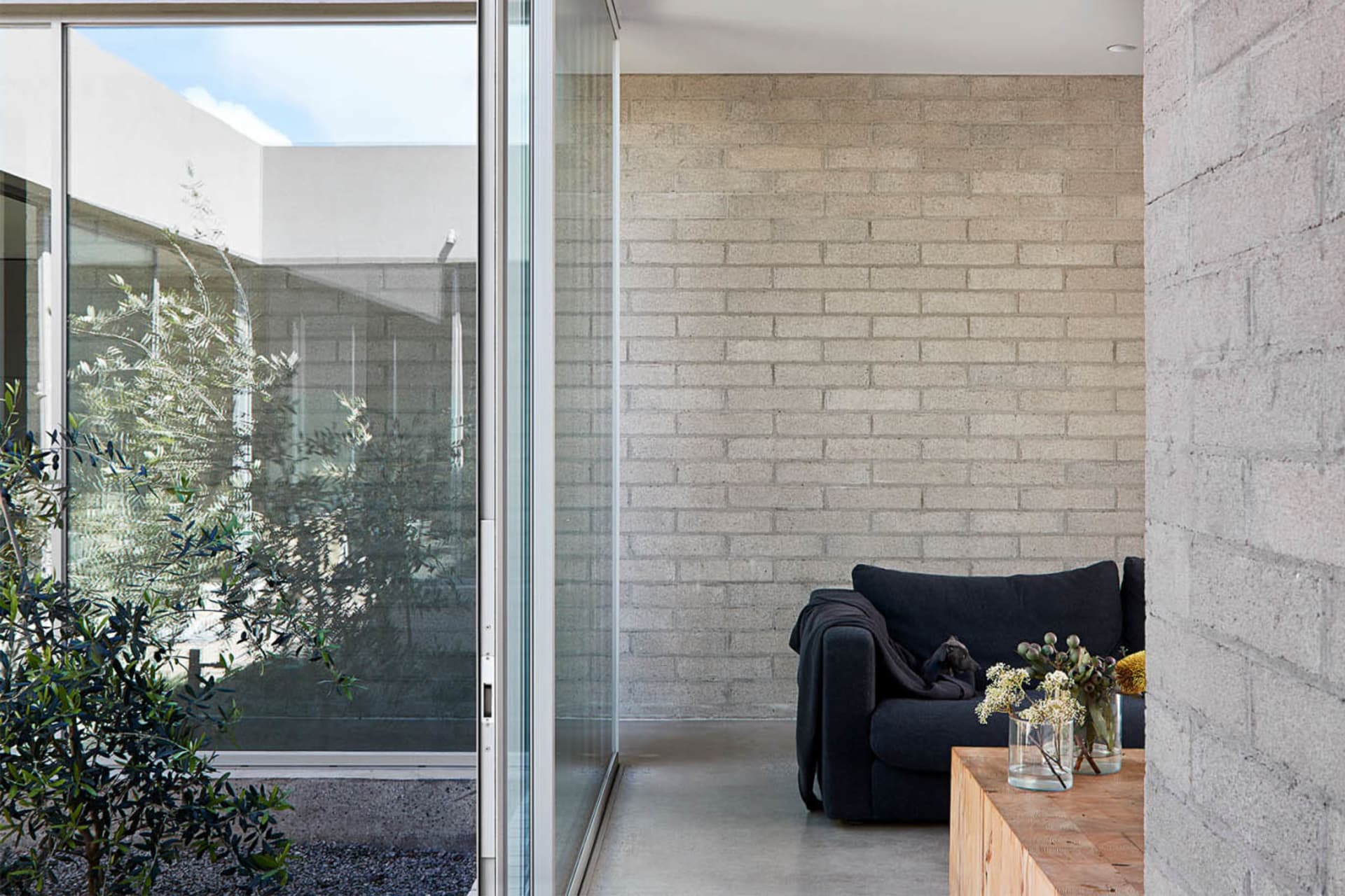 Modern living room with a dark grey couch against a textured concrete wall and a wooden coffee table, featuring a plant and v