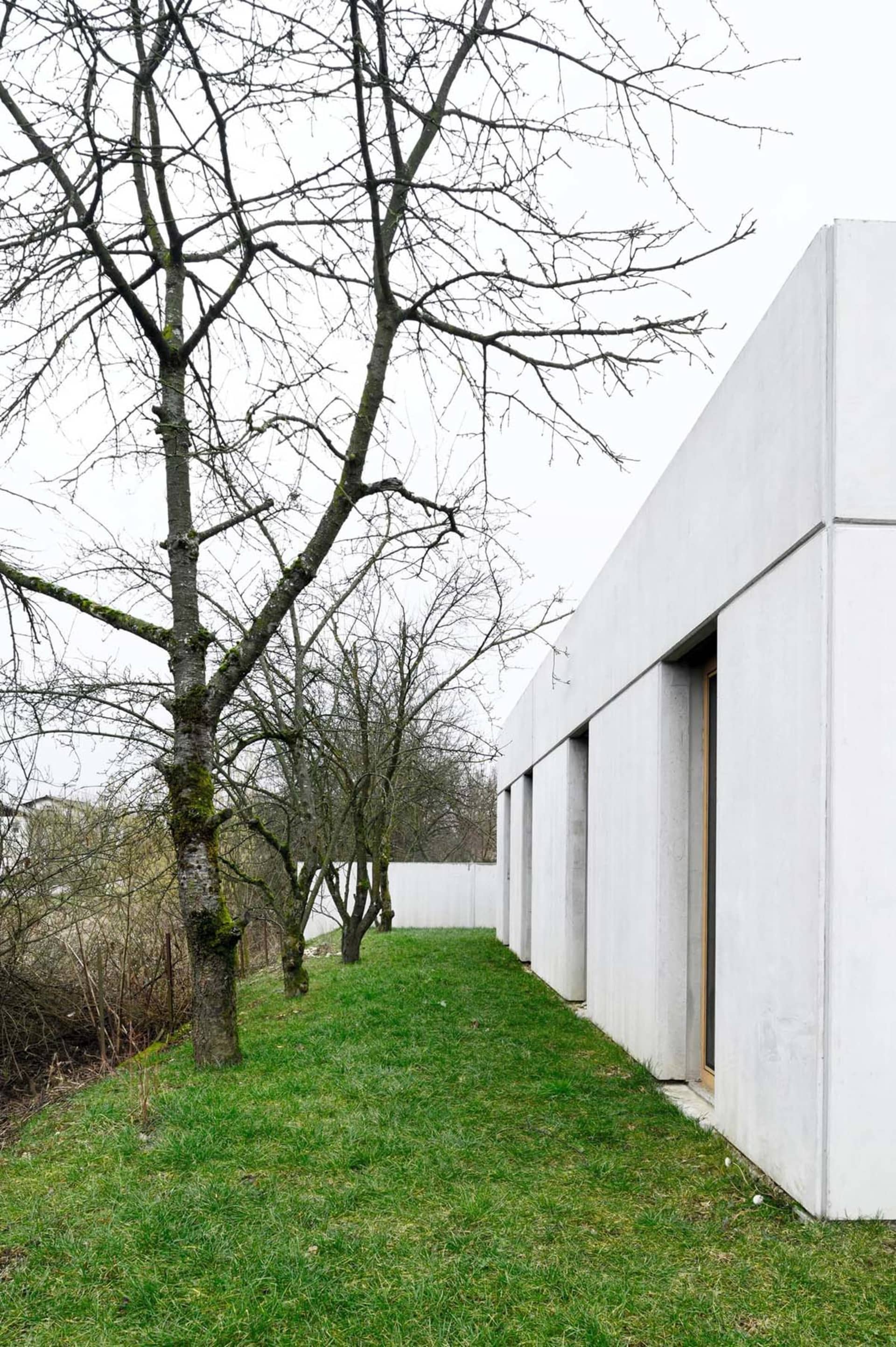 A modern house with white cement walls, surrounded by green grass and trees without leaves.