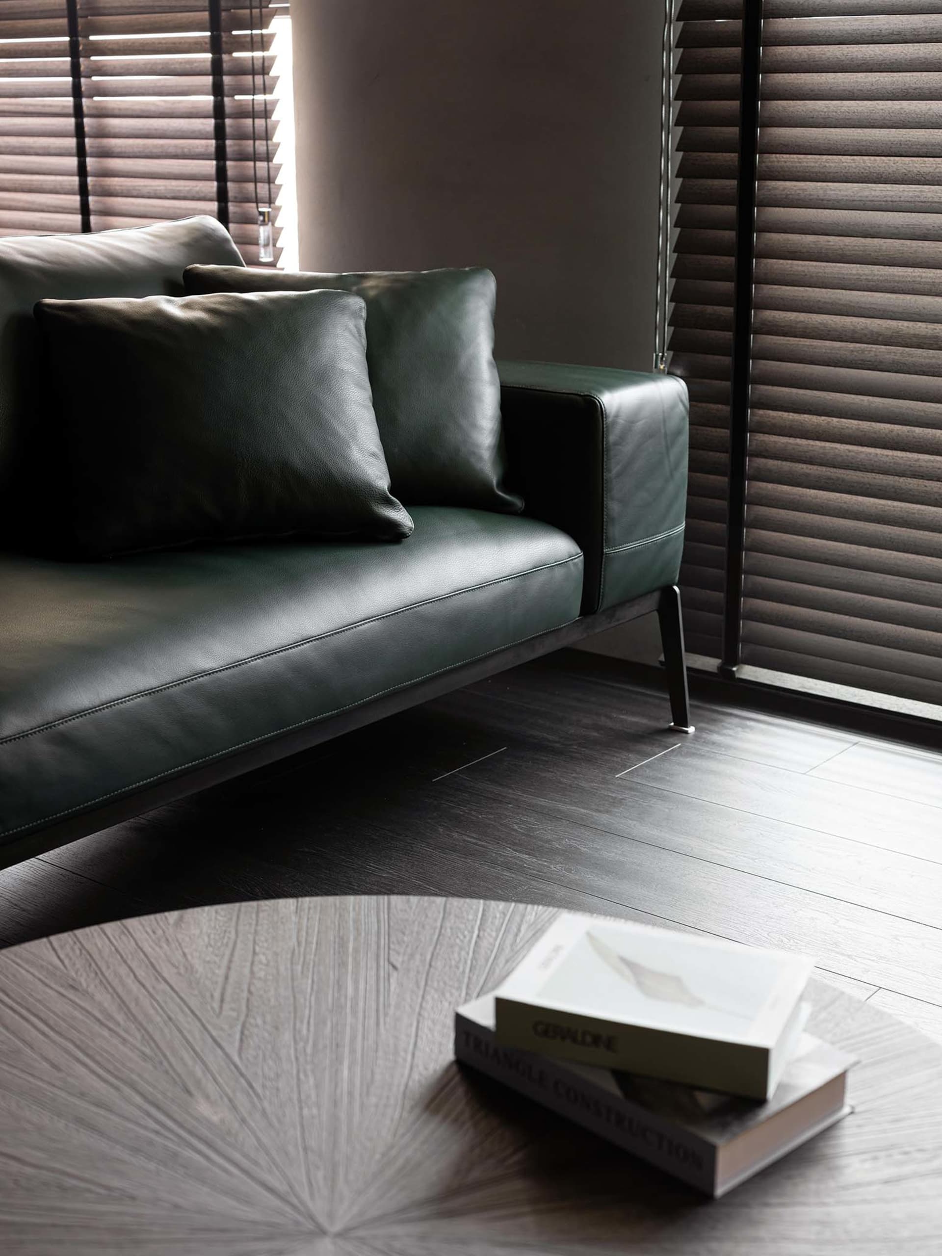 Interior design of a modern living room featuring a green leather sofa with pillows and a book on a coffee table.