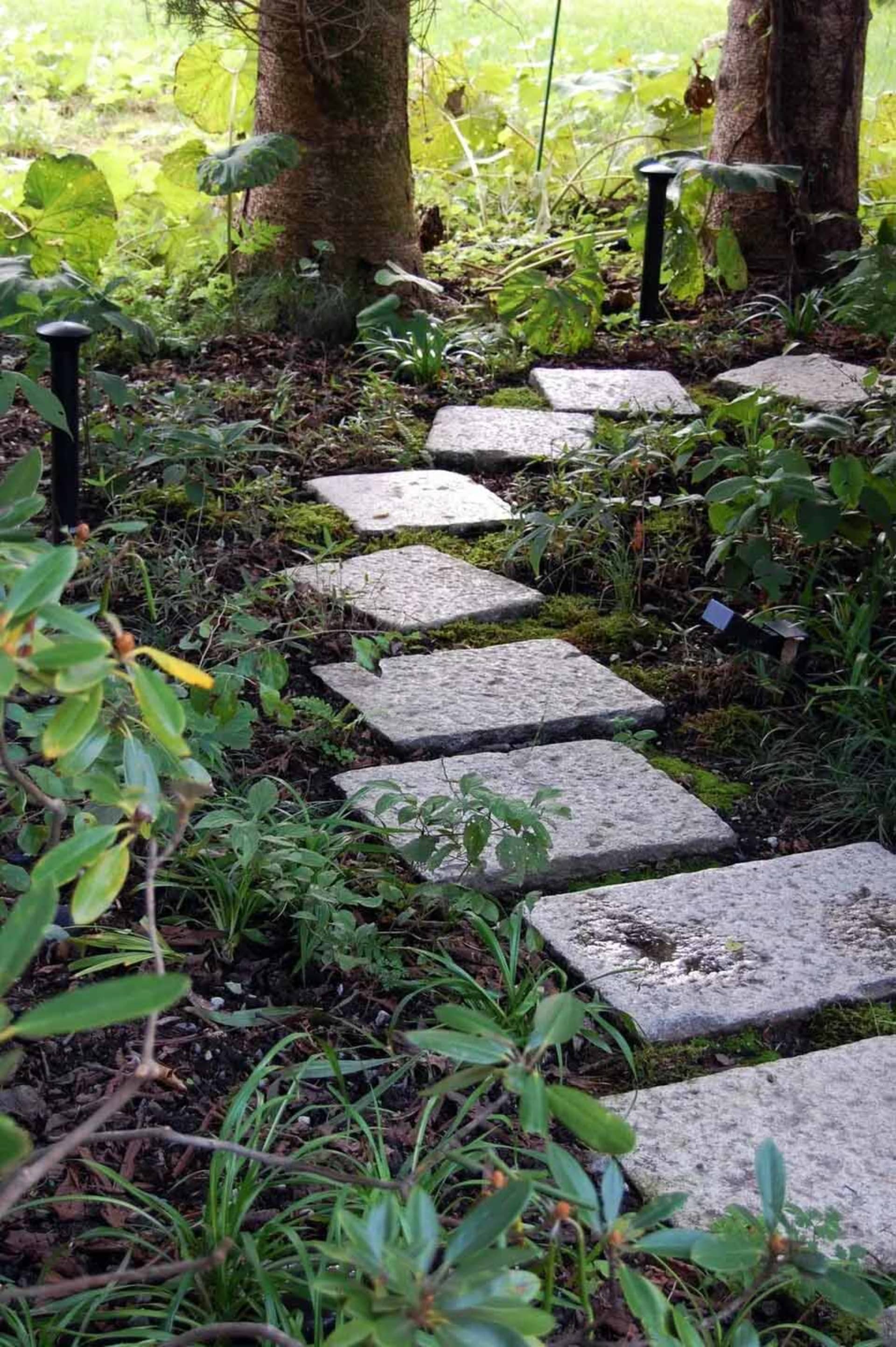 A stone garden path with green foliage.