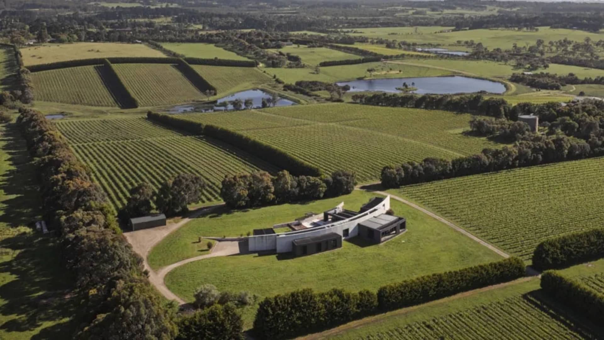Aerial view of a modern vineyard with green fields, buildings, and a pond.