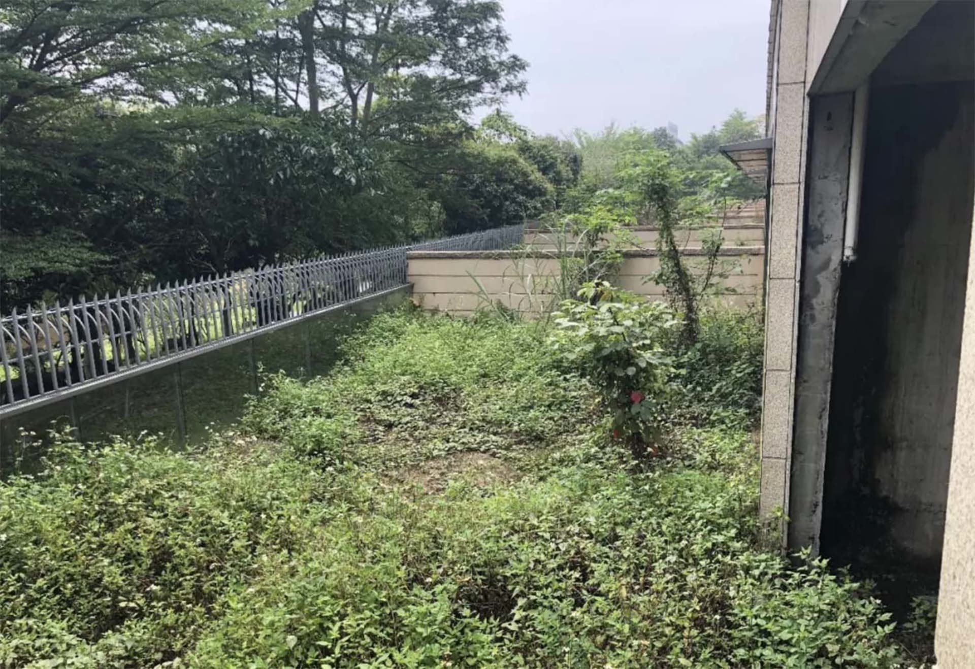 混凝土花園區域周圍種植綠色植物,環繞金屬圍欄與建築物。