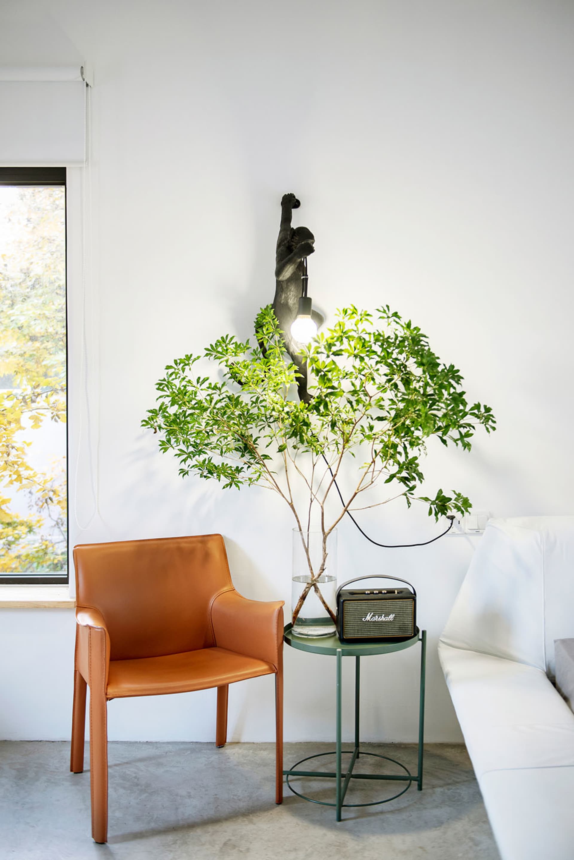 A minimalist lounge area featuring a concrete floor, a brown leather armchair, a small side table with a green plant, and a v