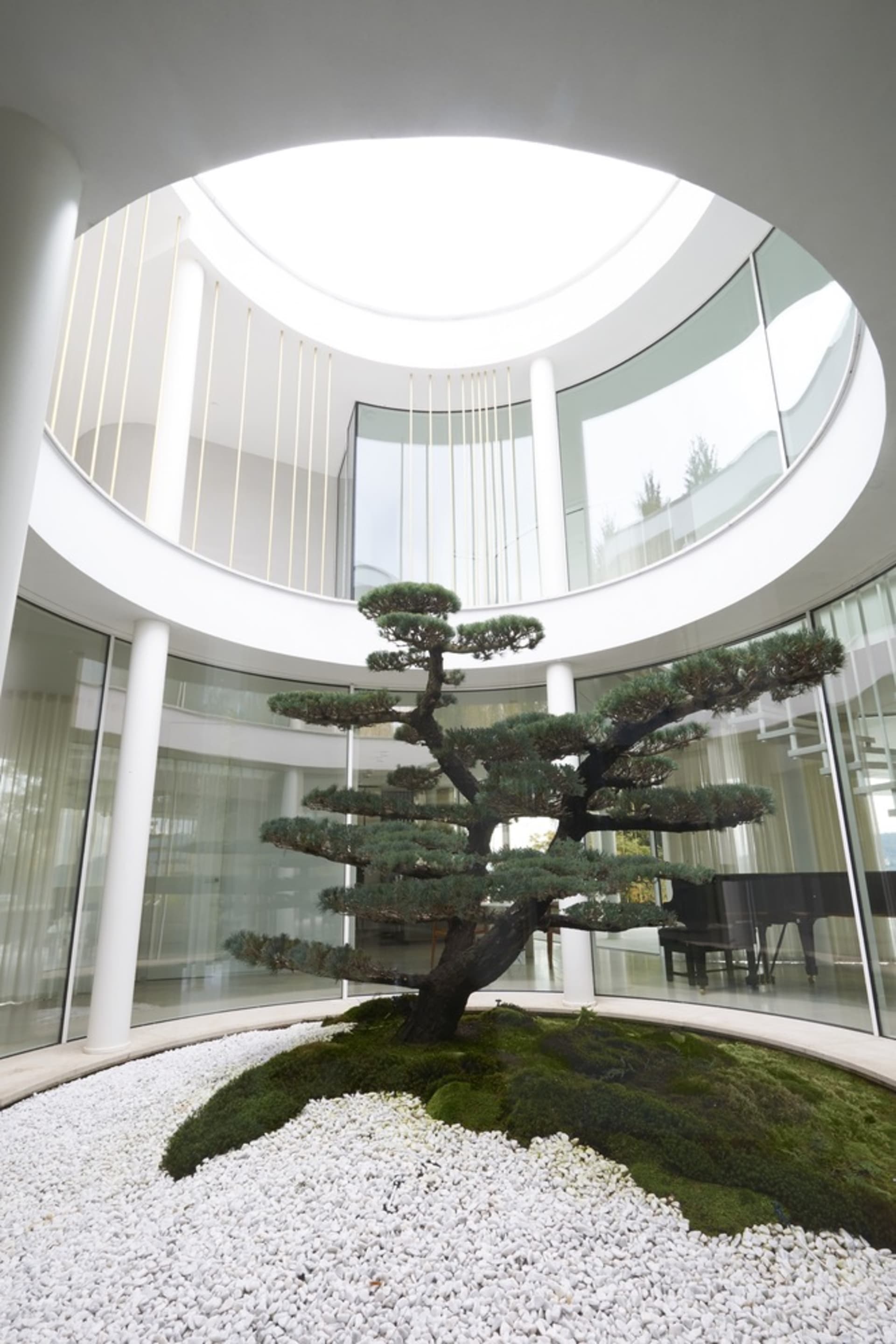 A minimalist interior with concrete walls and a round room featuring a bonsai tree in a moss bed.