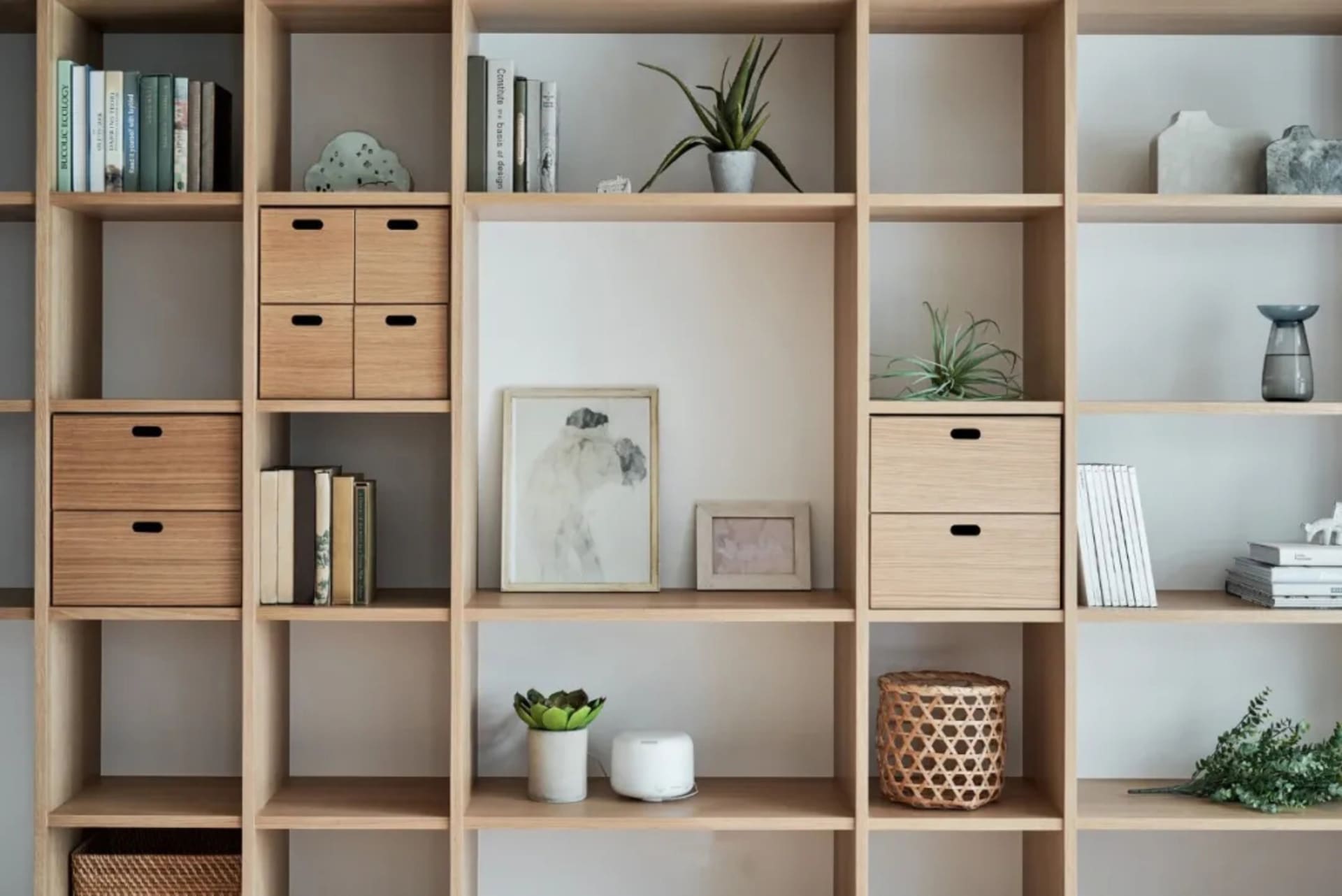 Modern wooden shelves organized with books, plants, and decorative items.
