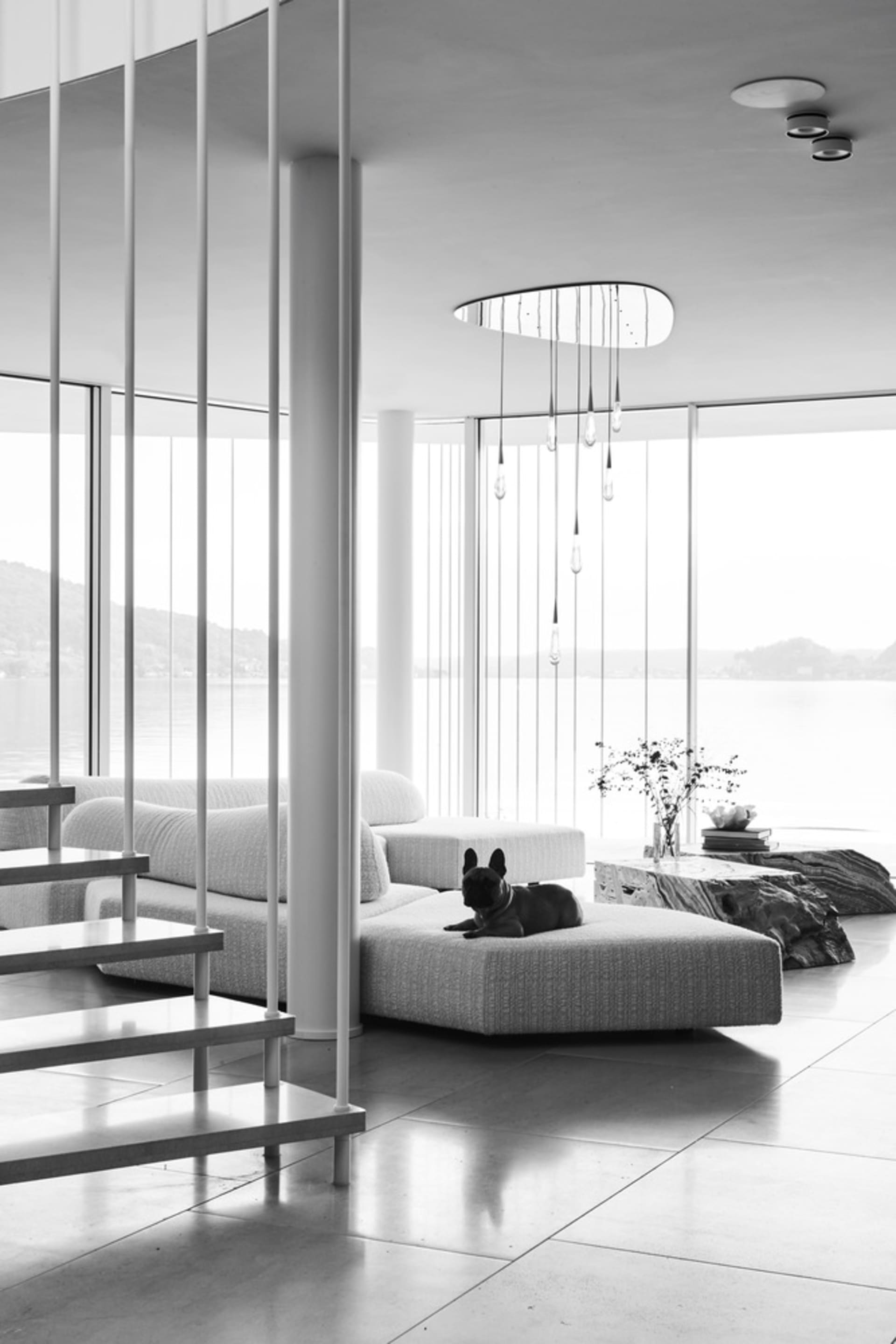 Modern minimalist living room with concrete furniture, glass walls overlooking water, and a dog lounging on the seating.