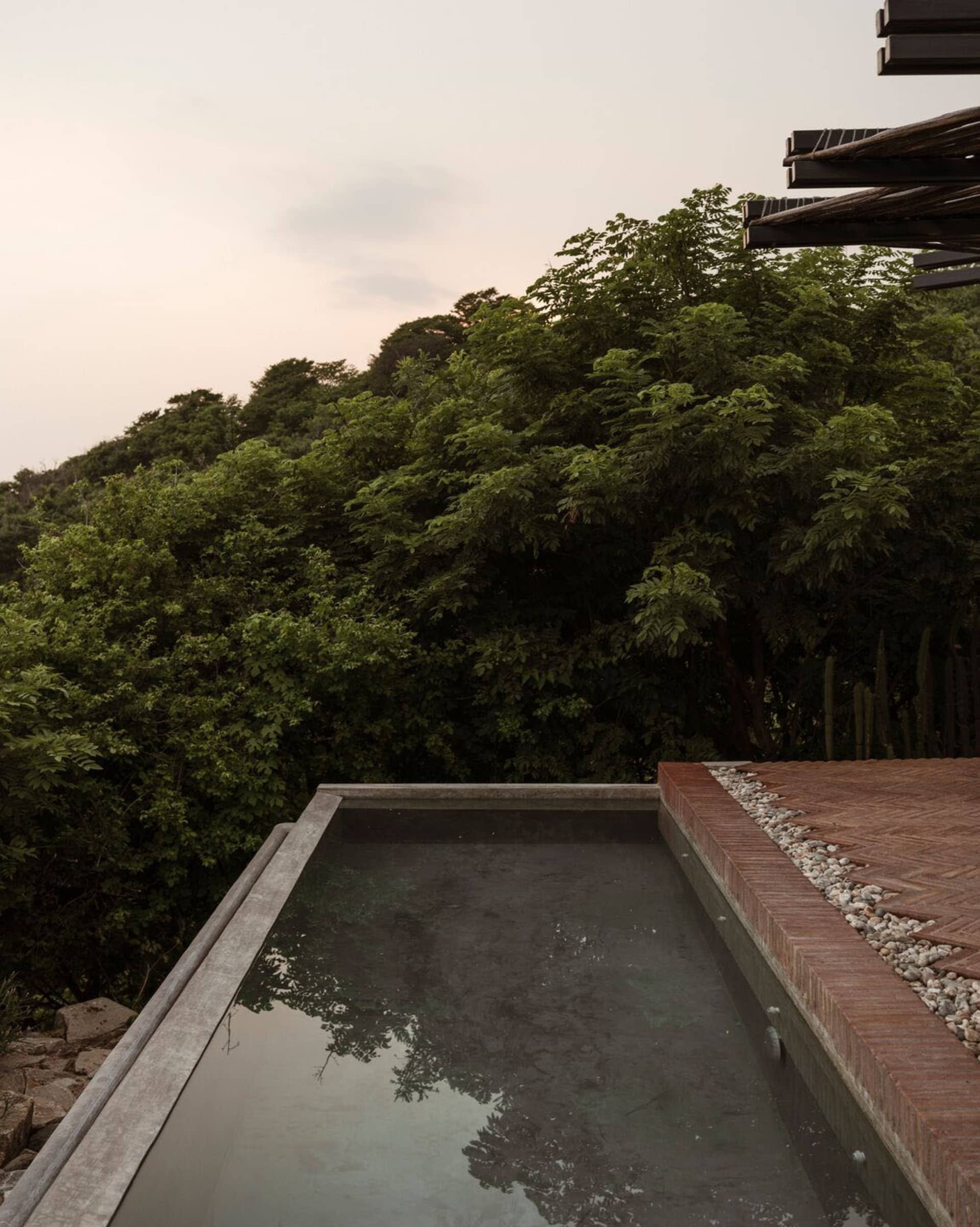 A modern swimming pool with a concrete edge surrounded by a brick patio and greenery in the background.