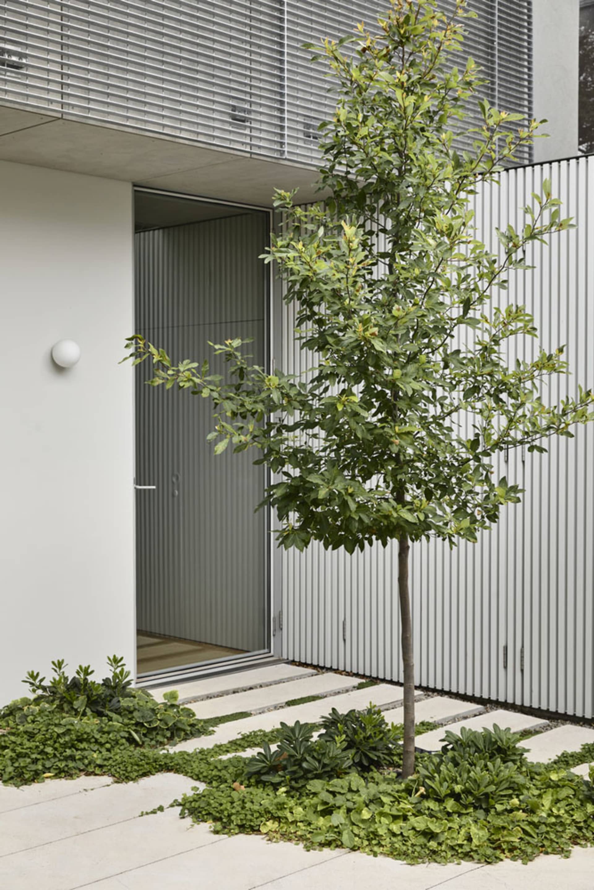 A modern entrance featuring metallic panels and concrete path with a central tree.
